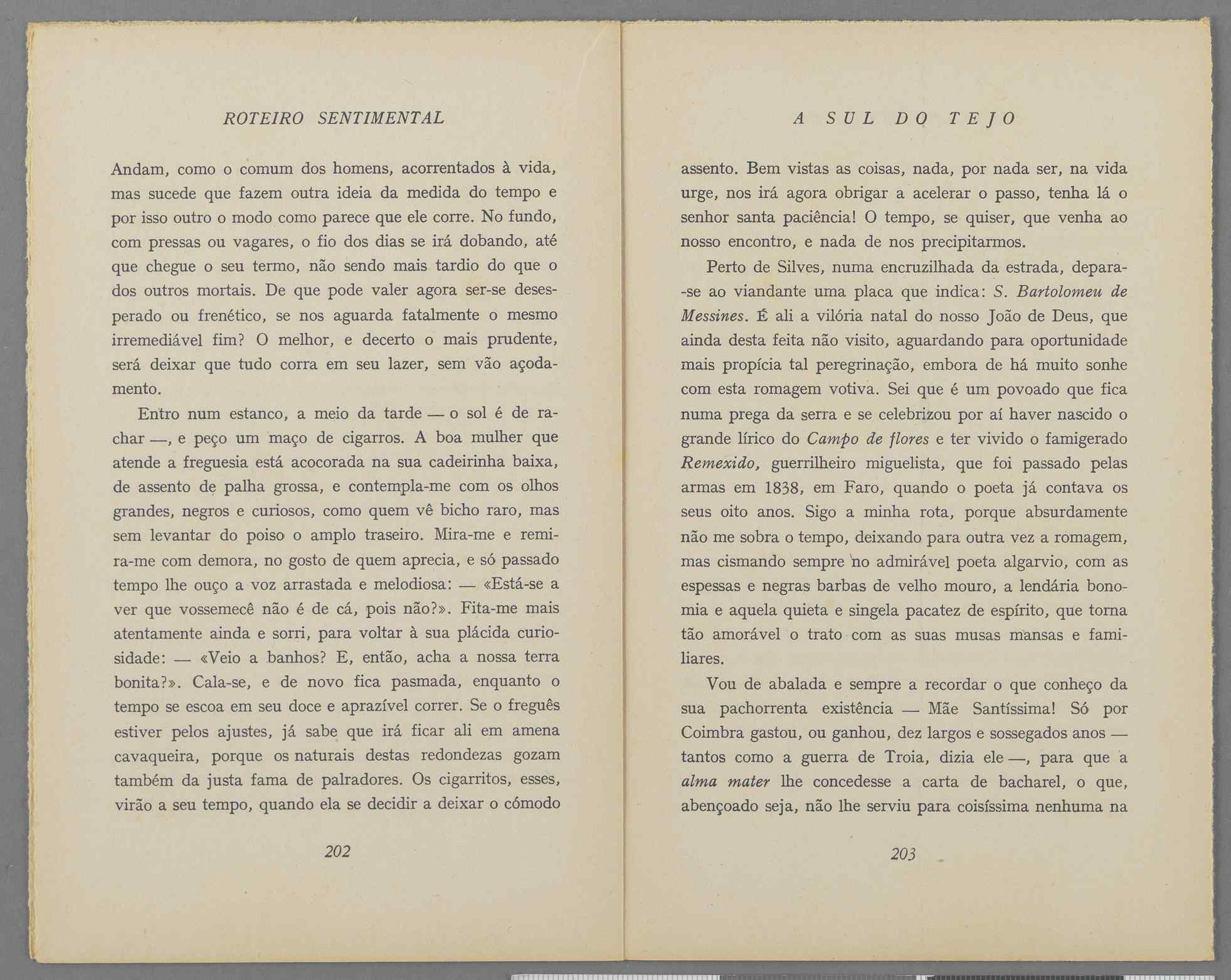 04959.040.001- pag.115