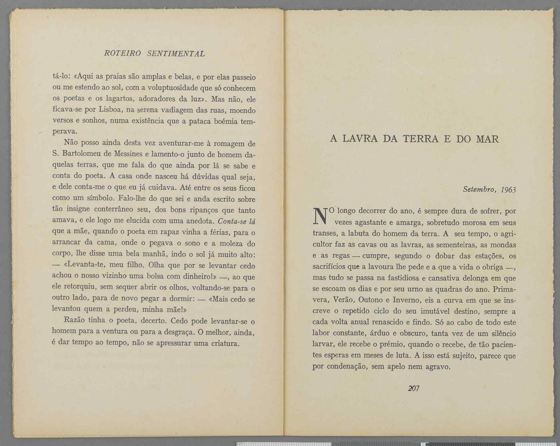 04959.040.001- pag.117