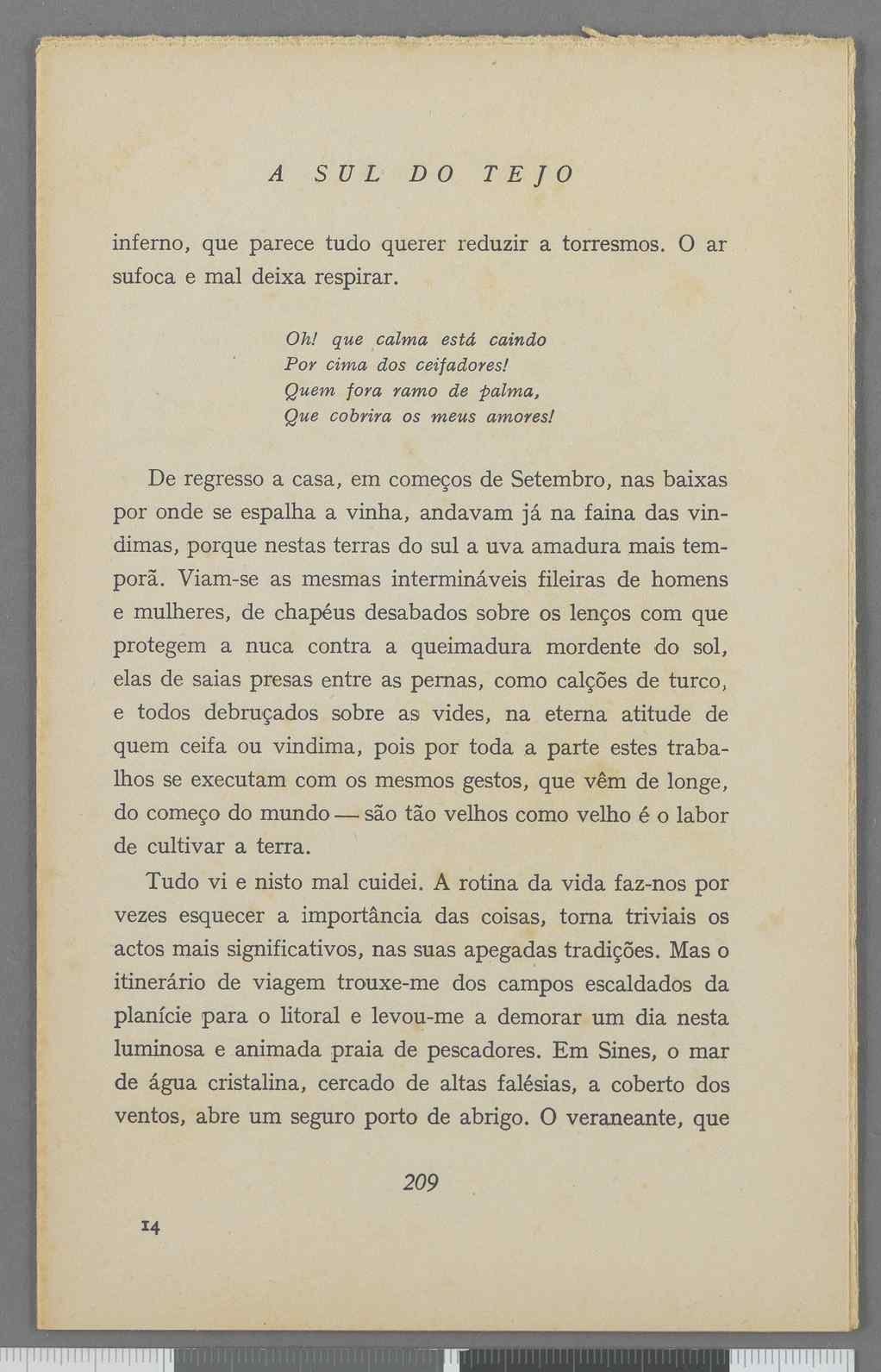 04959.040.001- pag.119