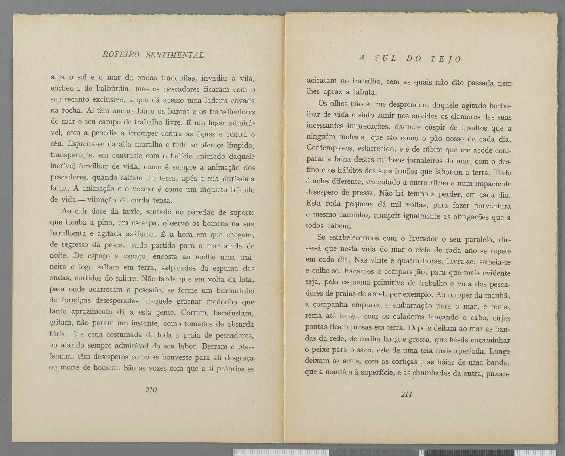 04959.040.001- pag.120
