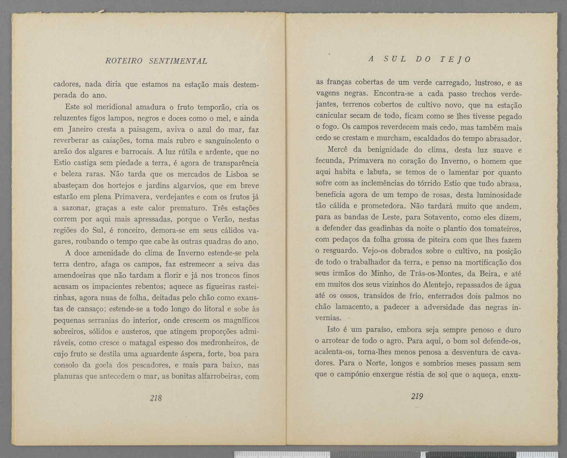 04959.040.001- pag.124