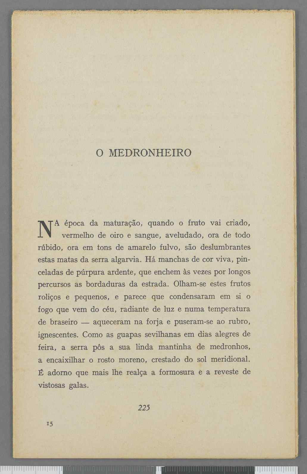 04959.040.001- pag.128