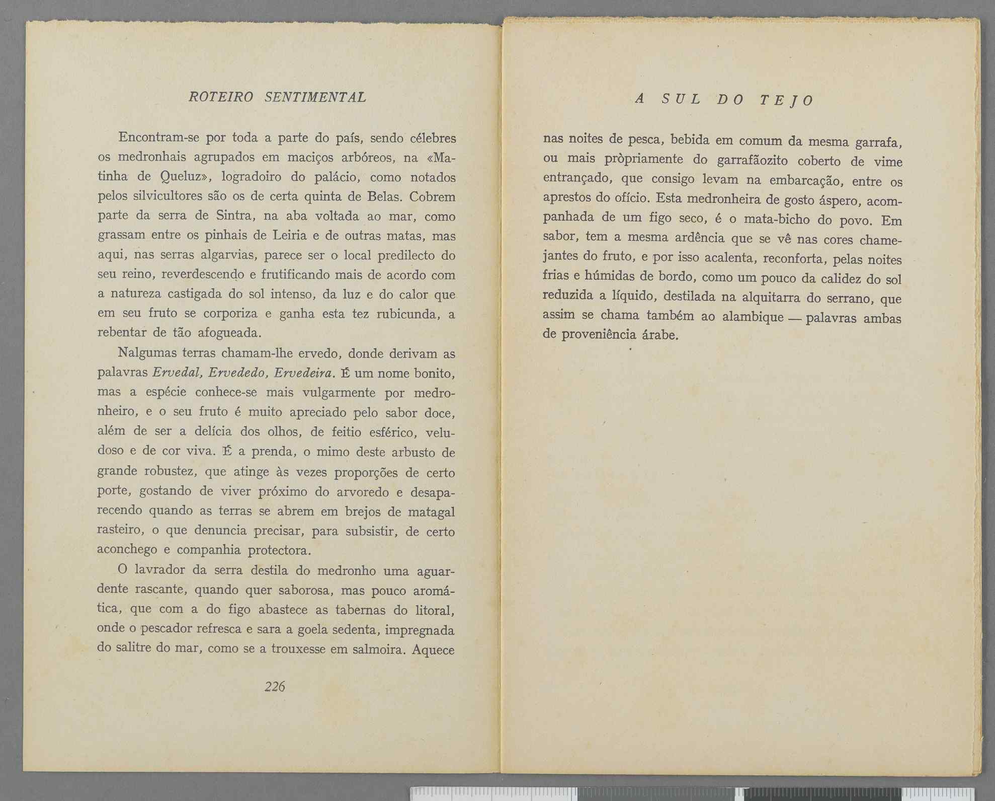 04959.040.001- pag.129