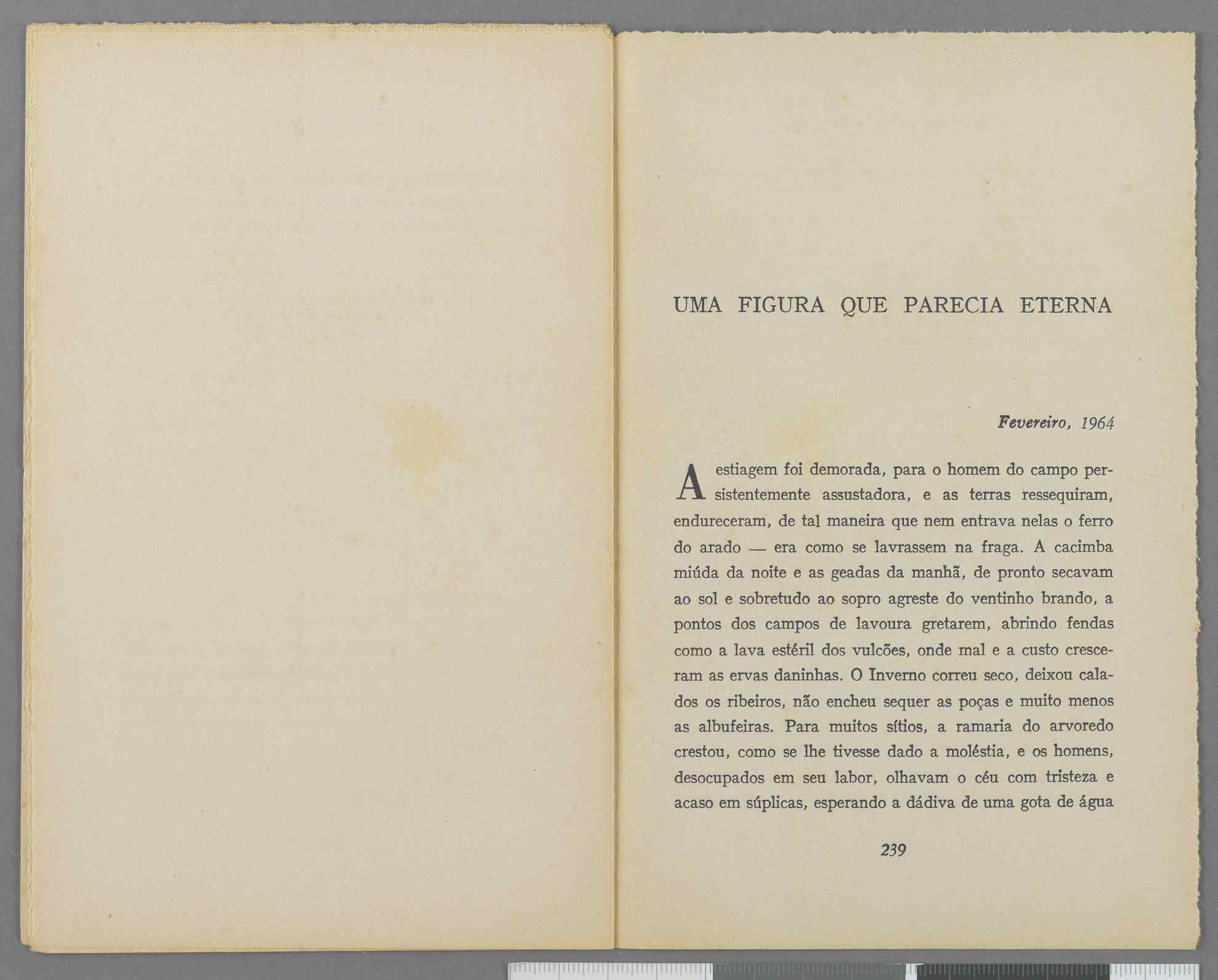 04959.040.001- pag.135