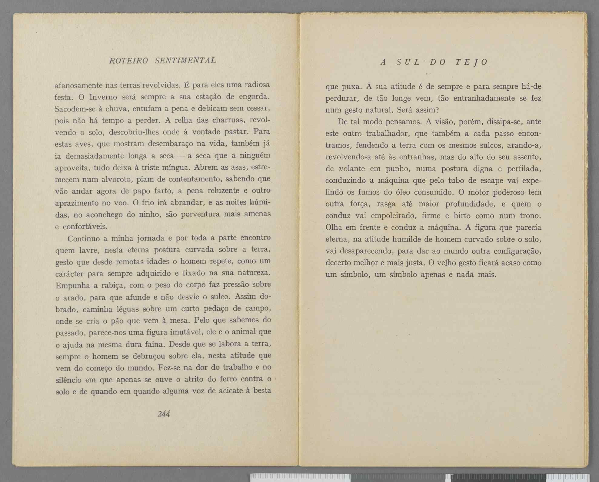 04959.040.001- pag.139