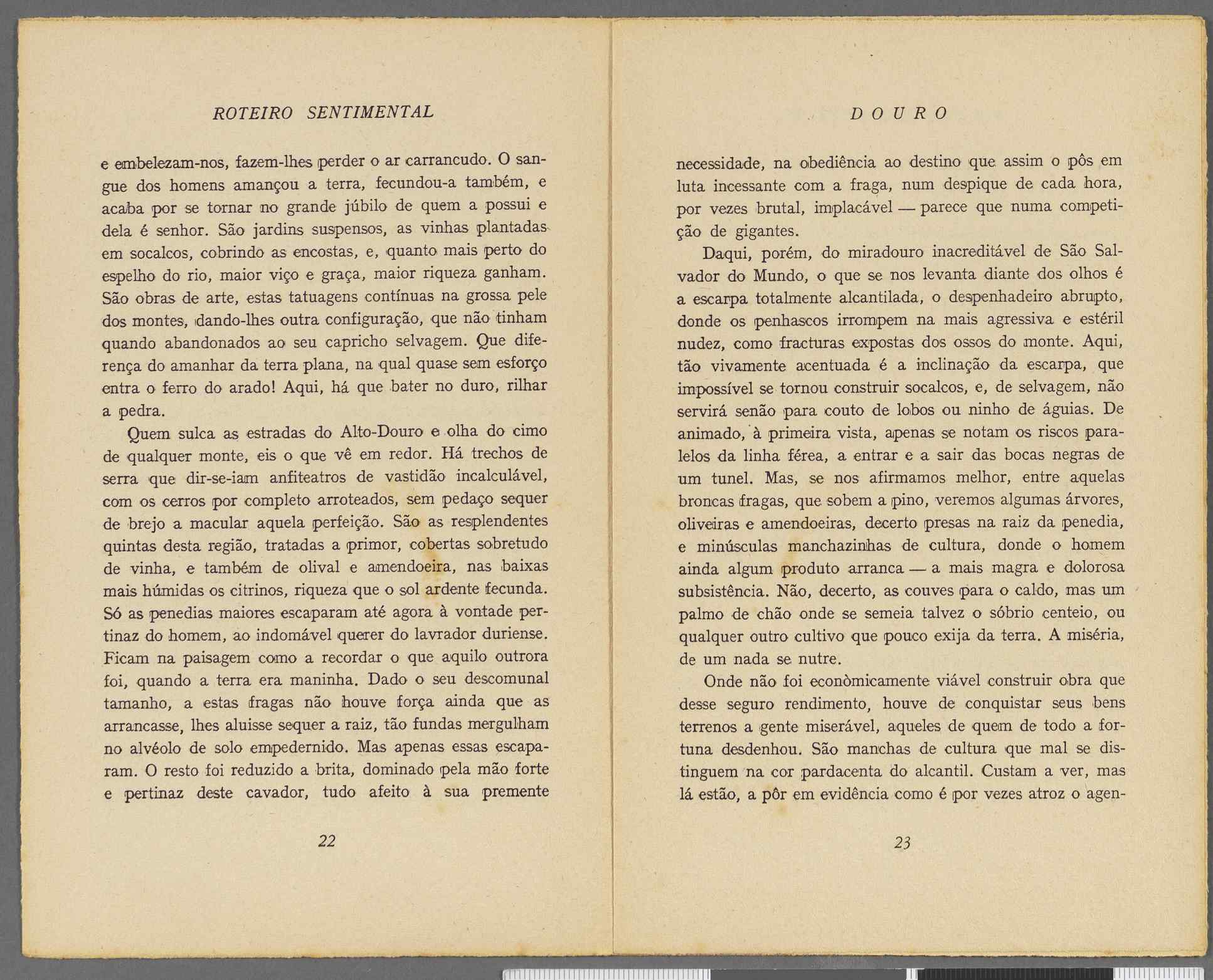 04959.064.001- pag.13