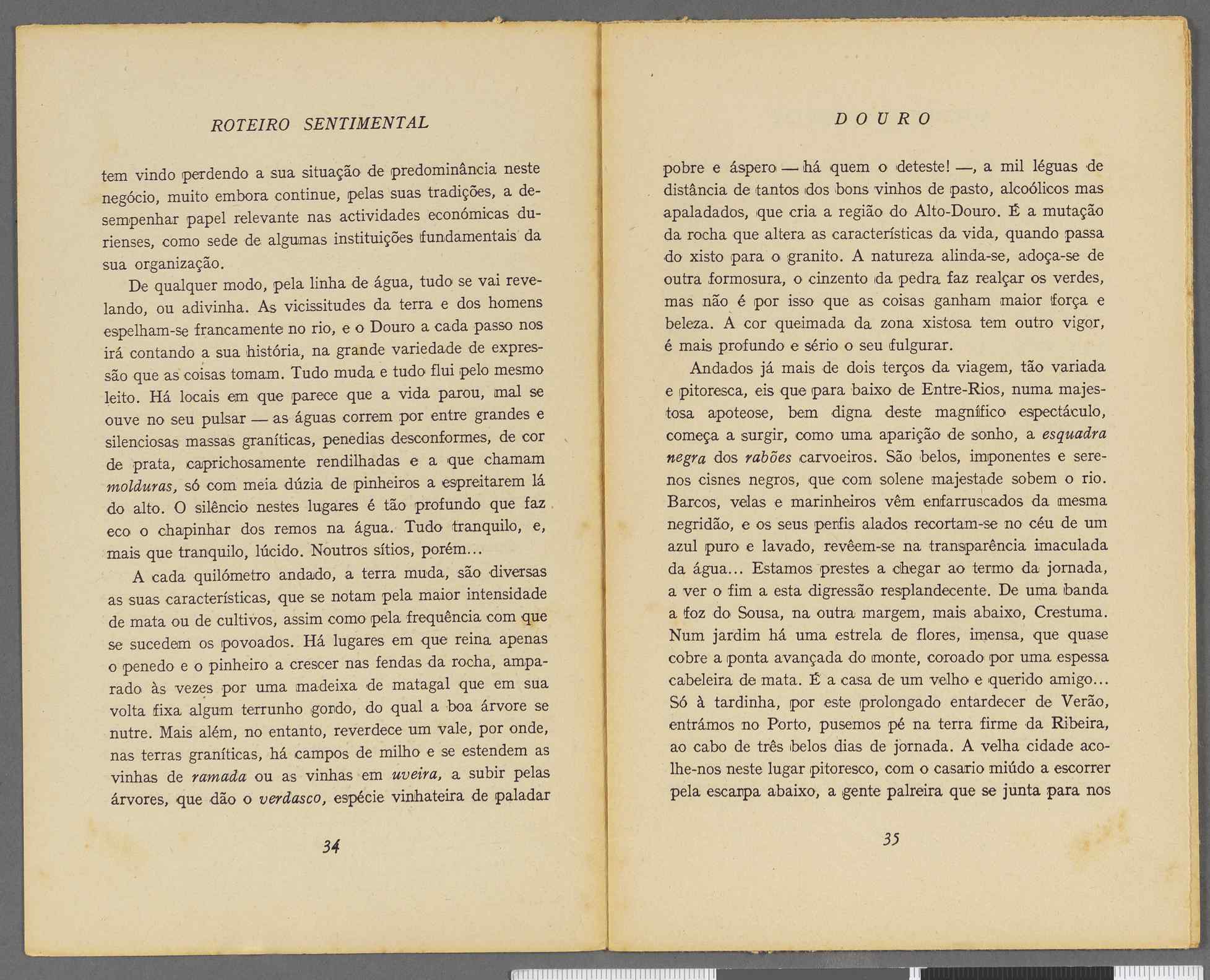 04959.064.001- pag.20
