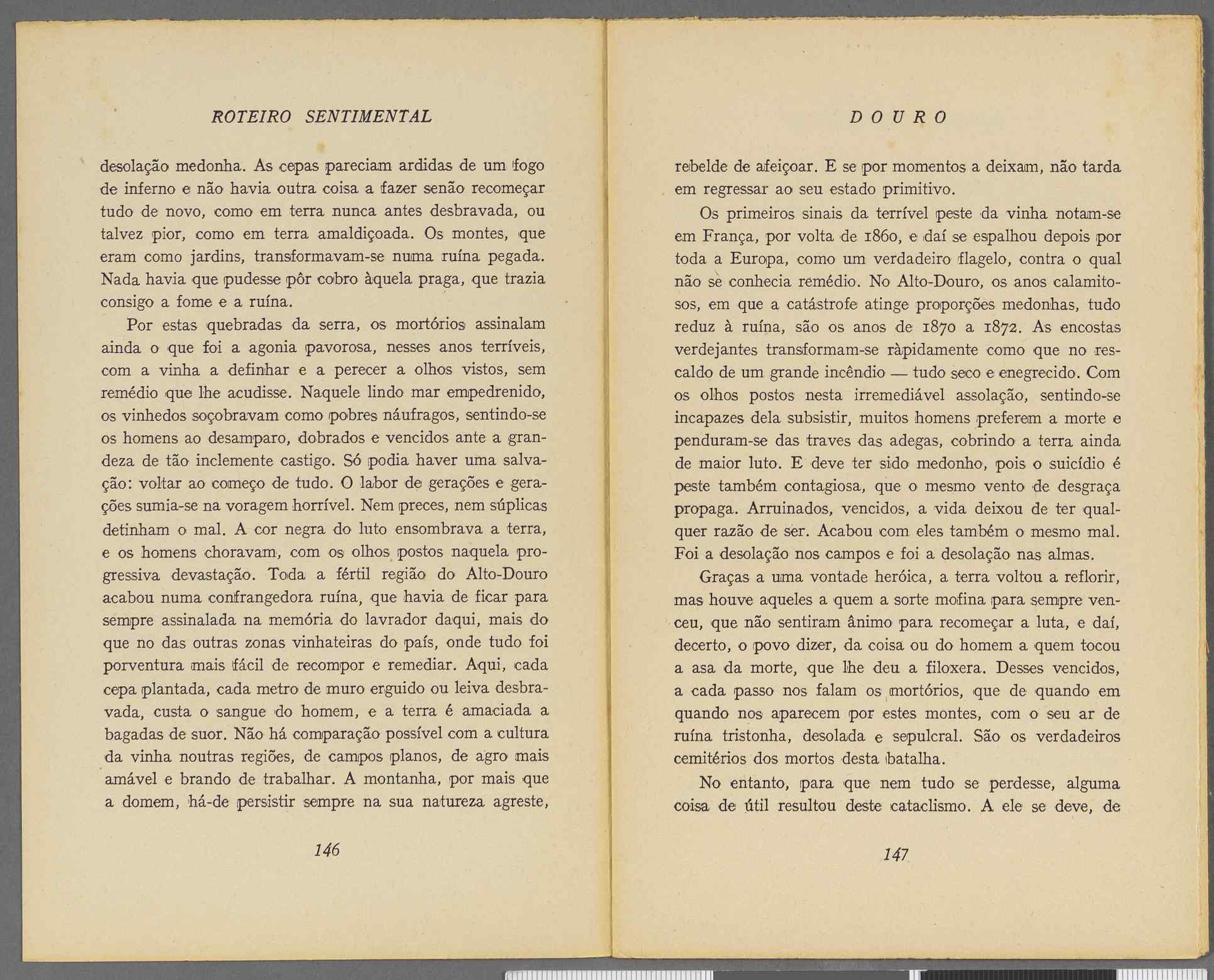 04959.064.001- pag.83