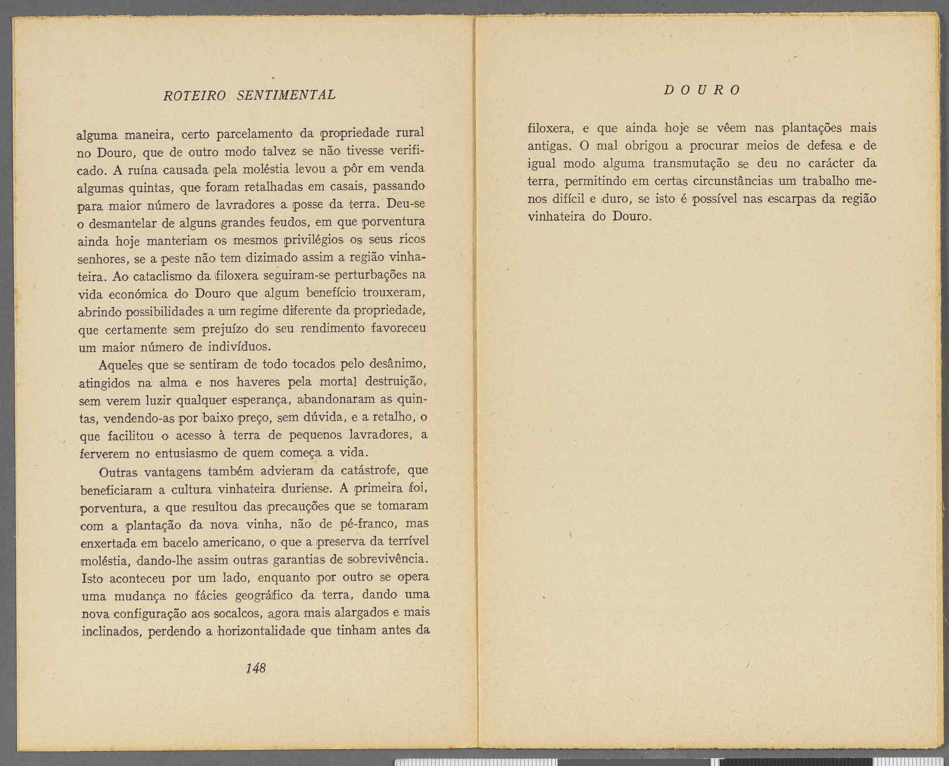 04959.064.001- pag.84