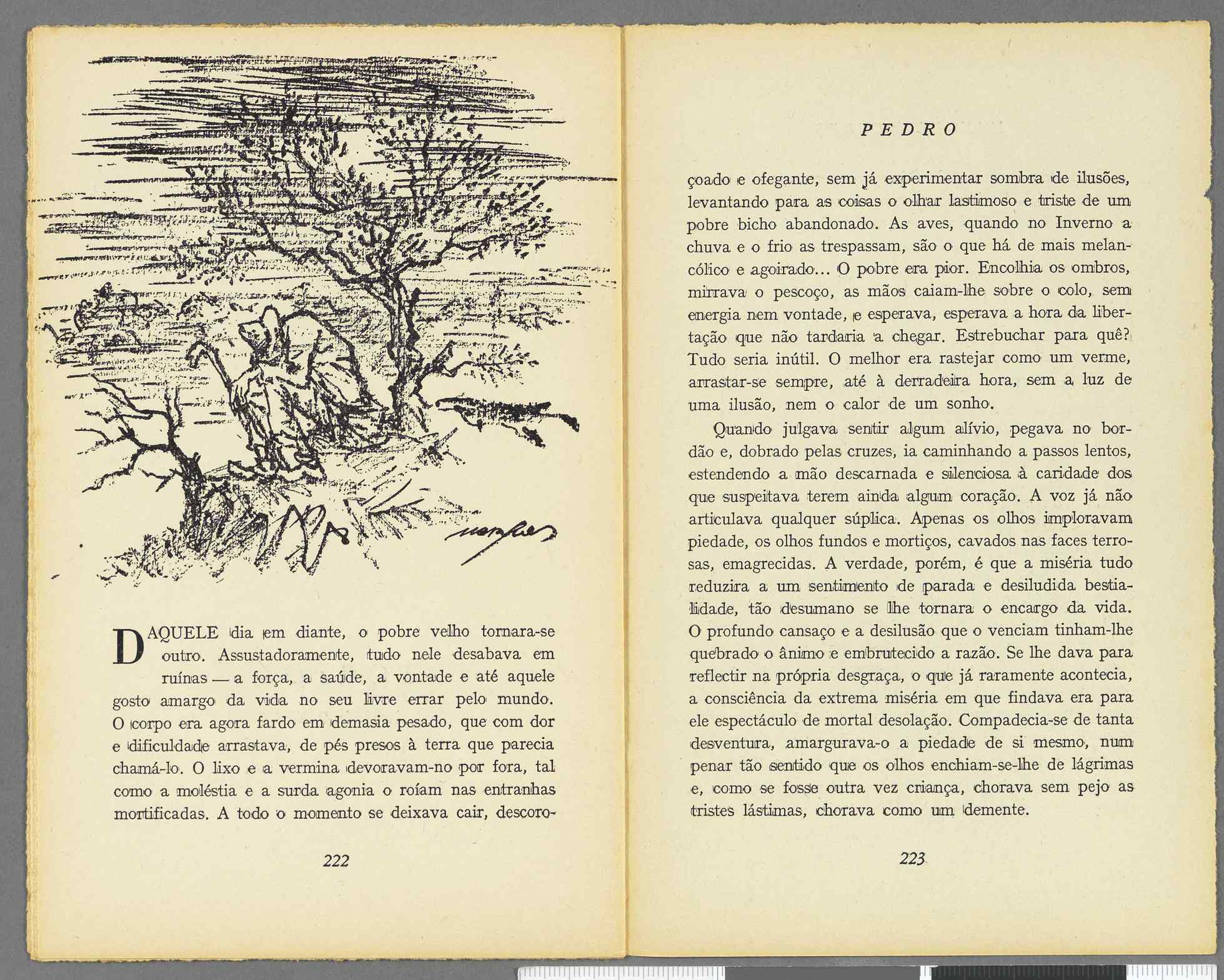 04959.069.001- pag.115