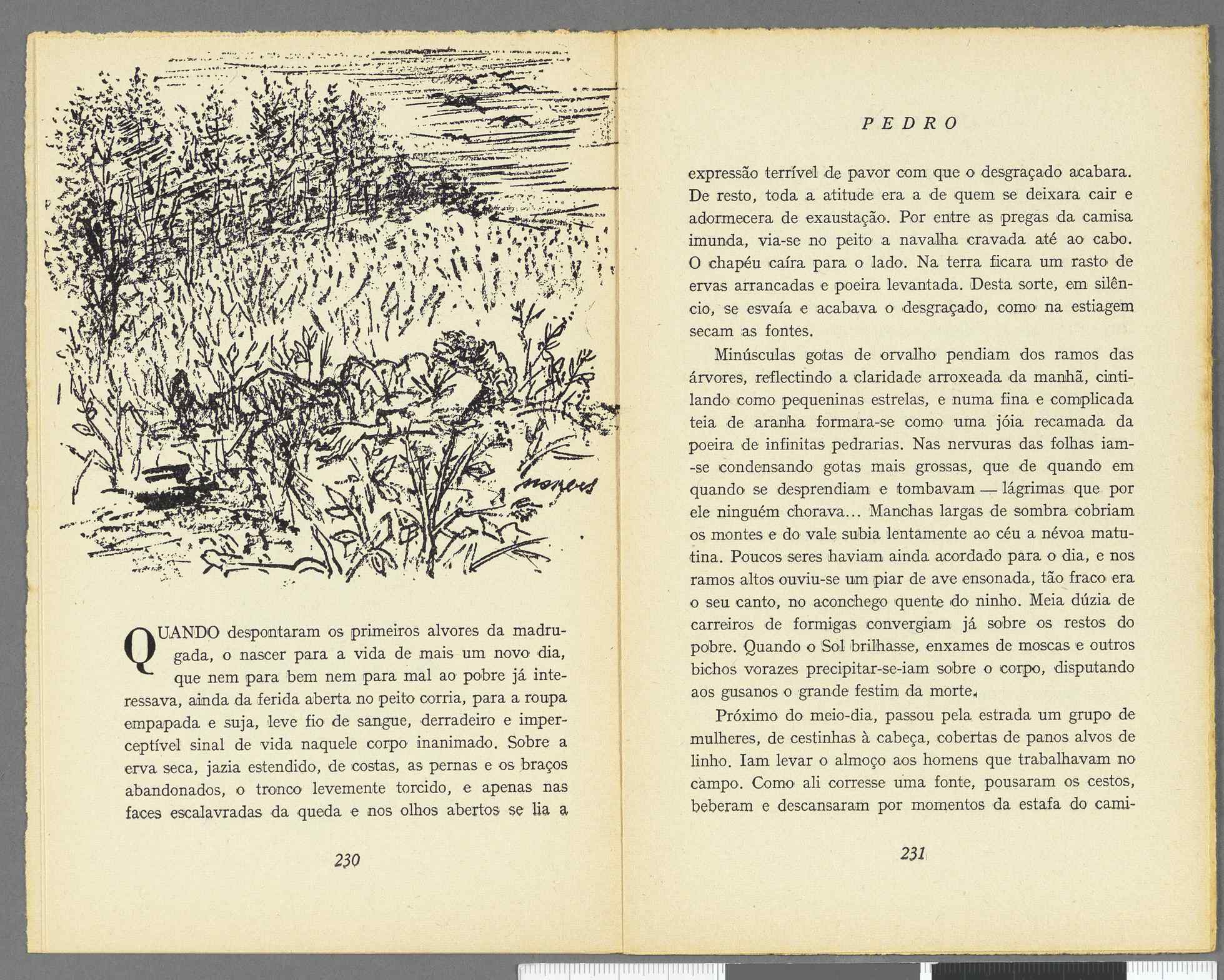 04959.069.001- pag.120