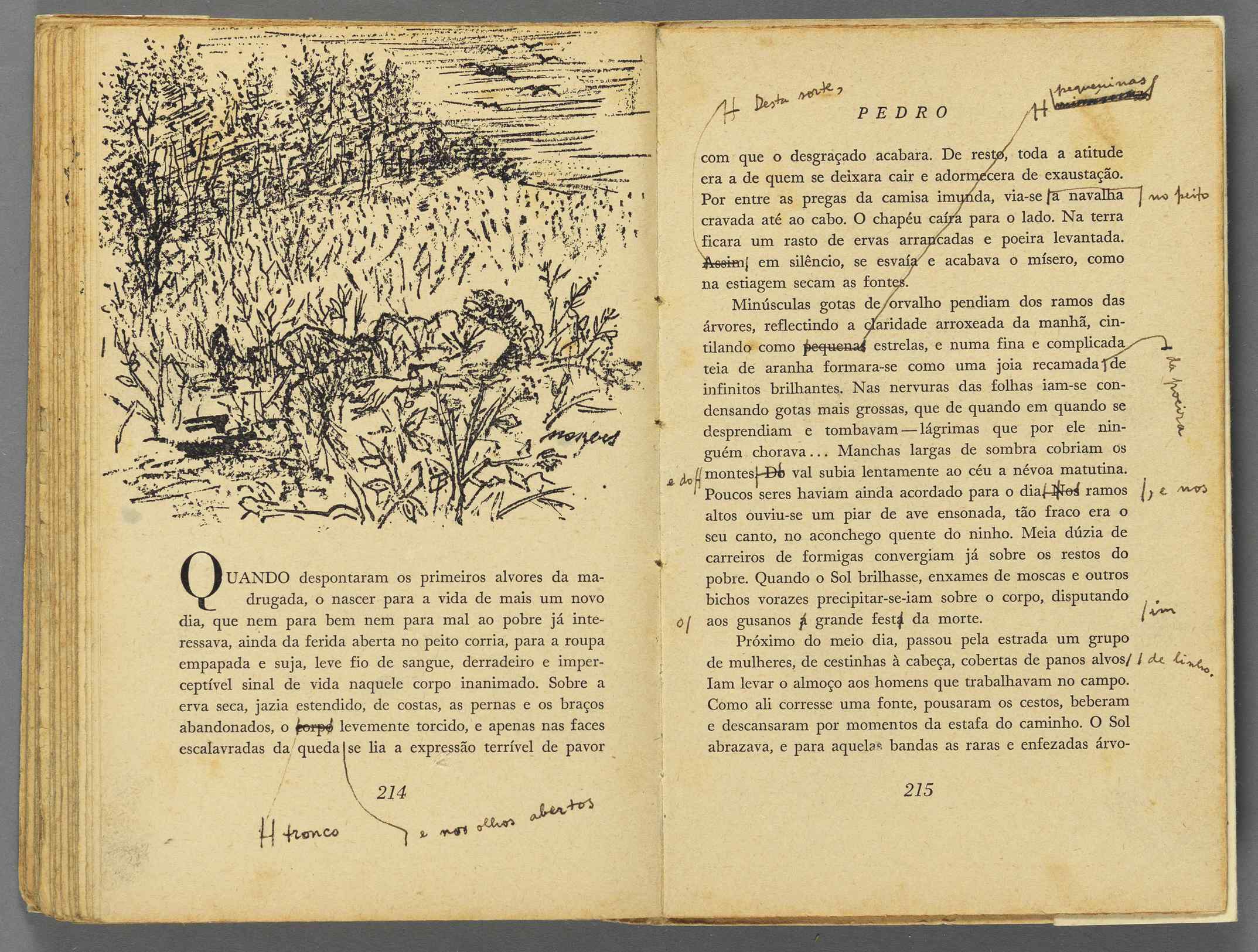 04959.069.002- pag.109