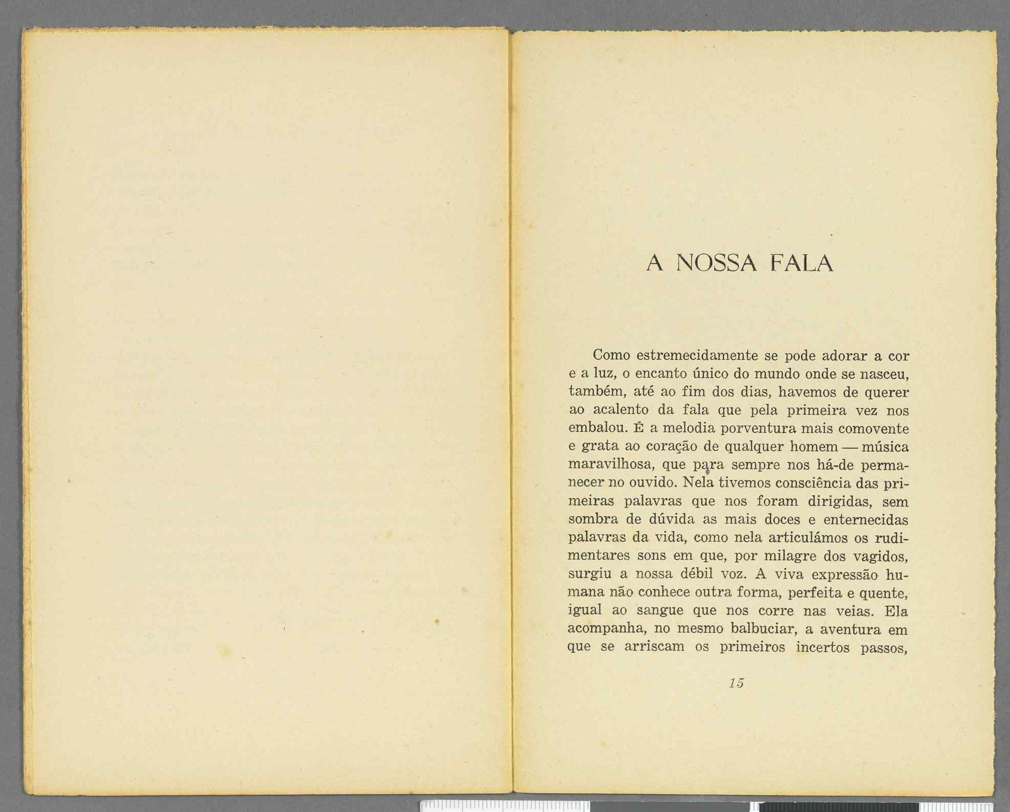 04959.071.001- pag.7