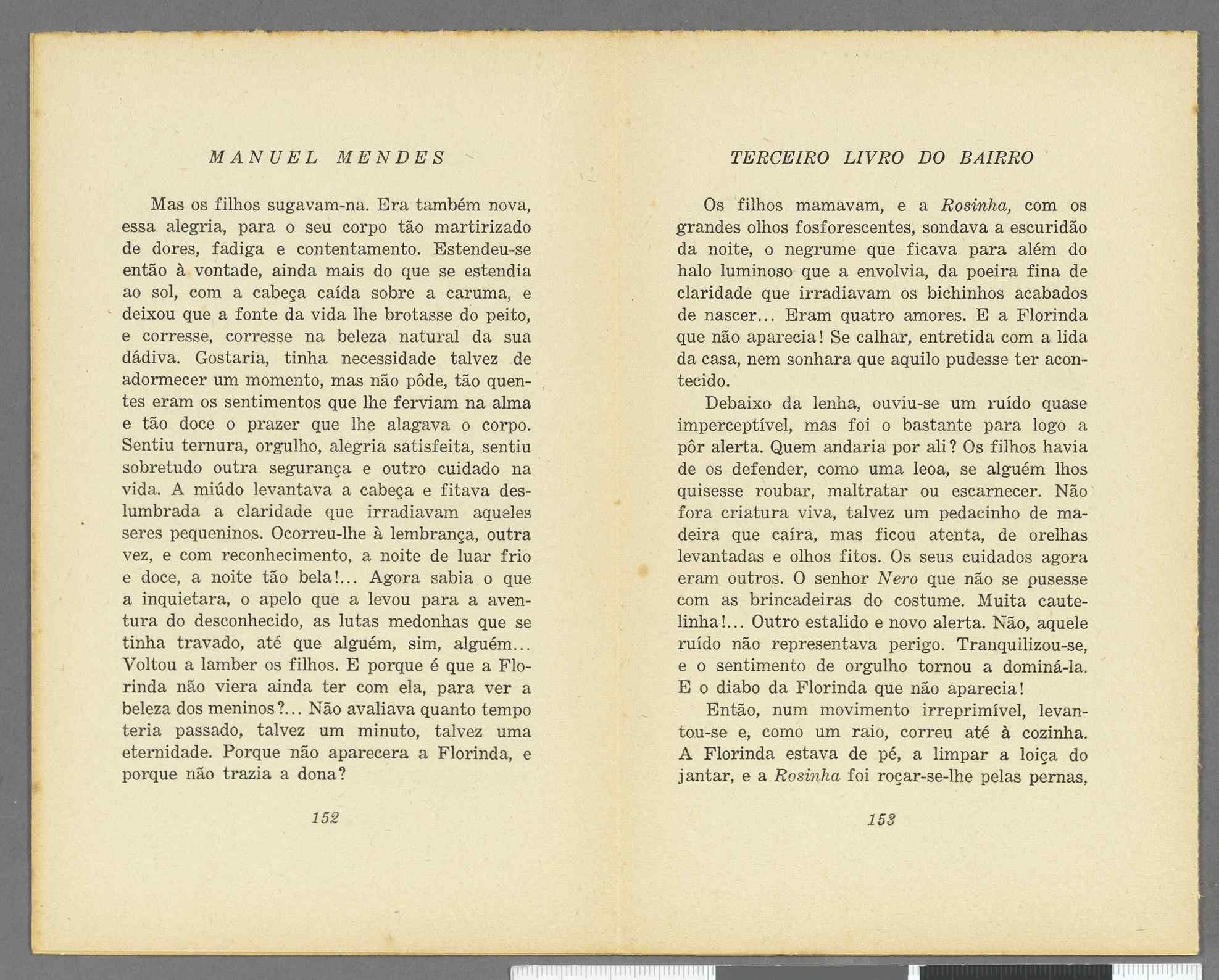 04959.071.001- pag.85