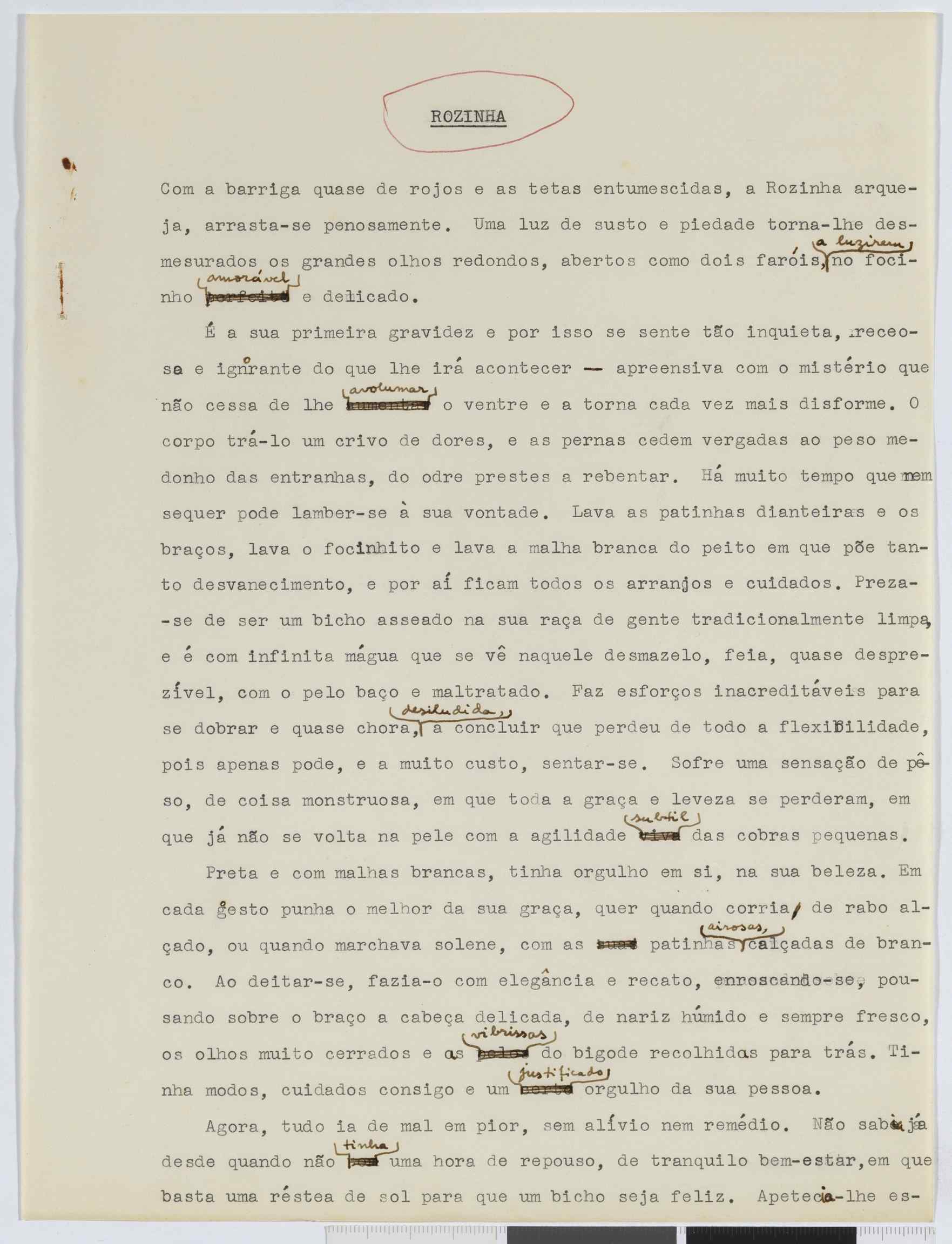 04959.091.001- pag.66