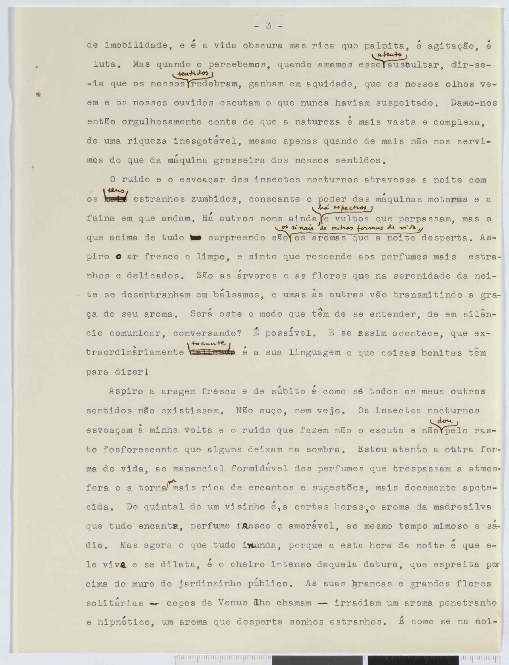 04959.091.001- pag.105