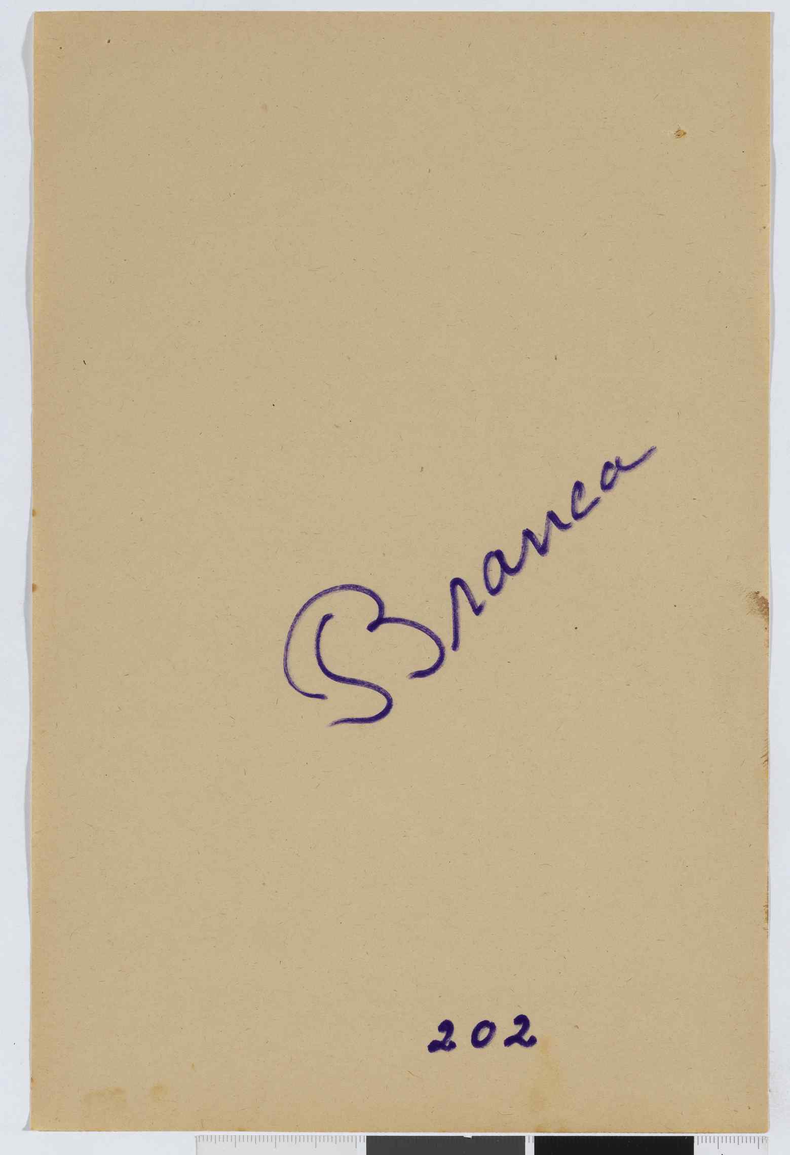 04959.107.004- pag.202