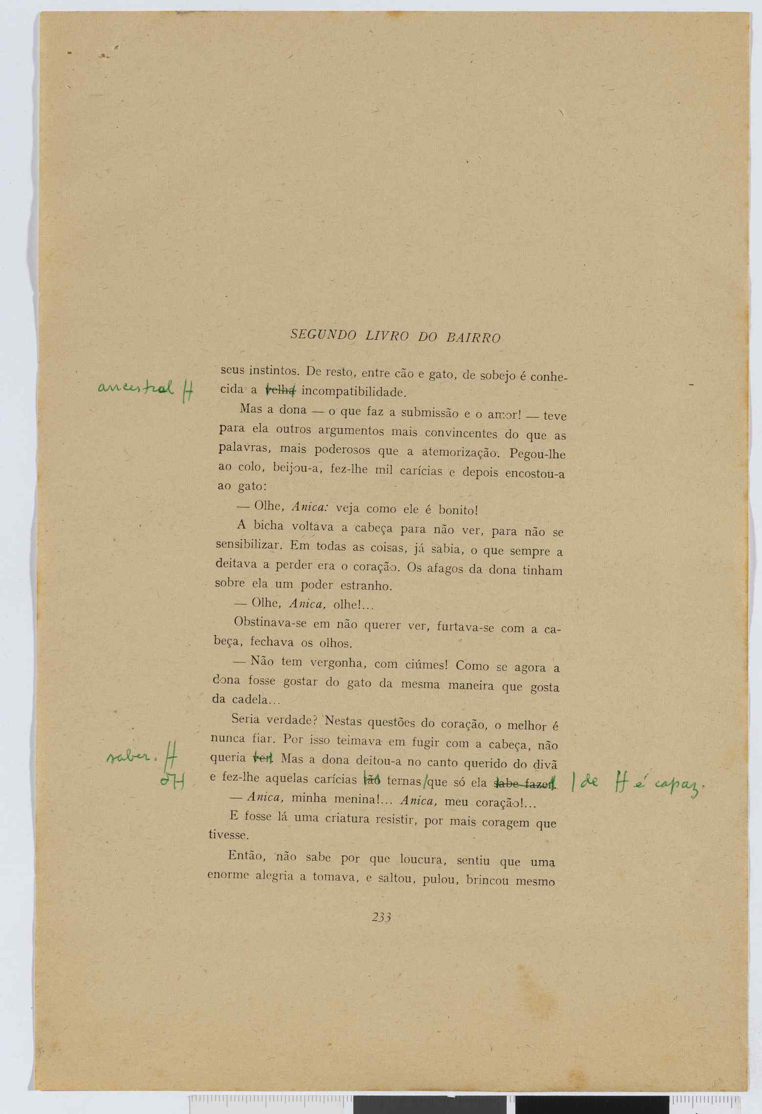 04959.107.004- pag.233