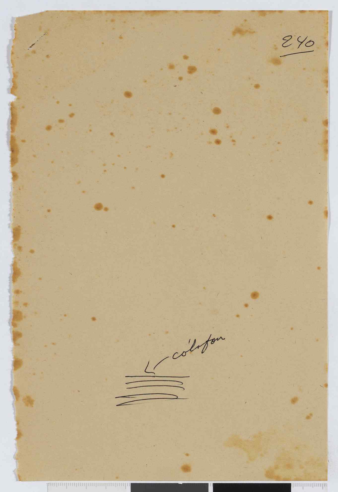 04959.107.004- pag.241