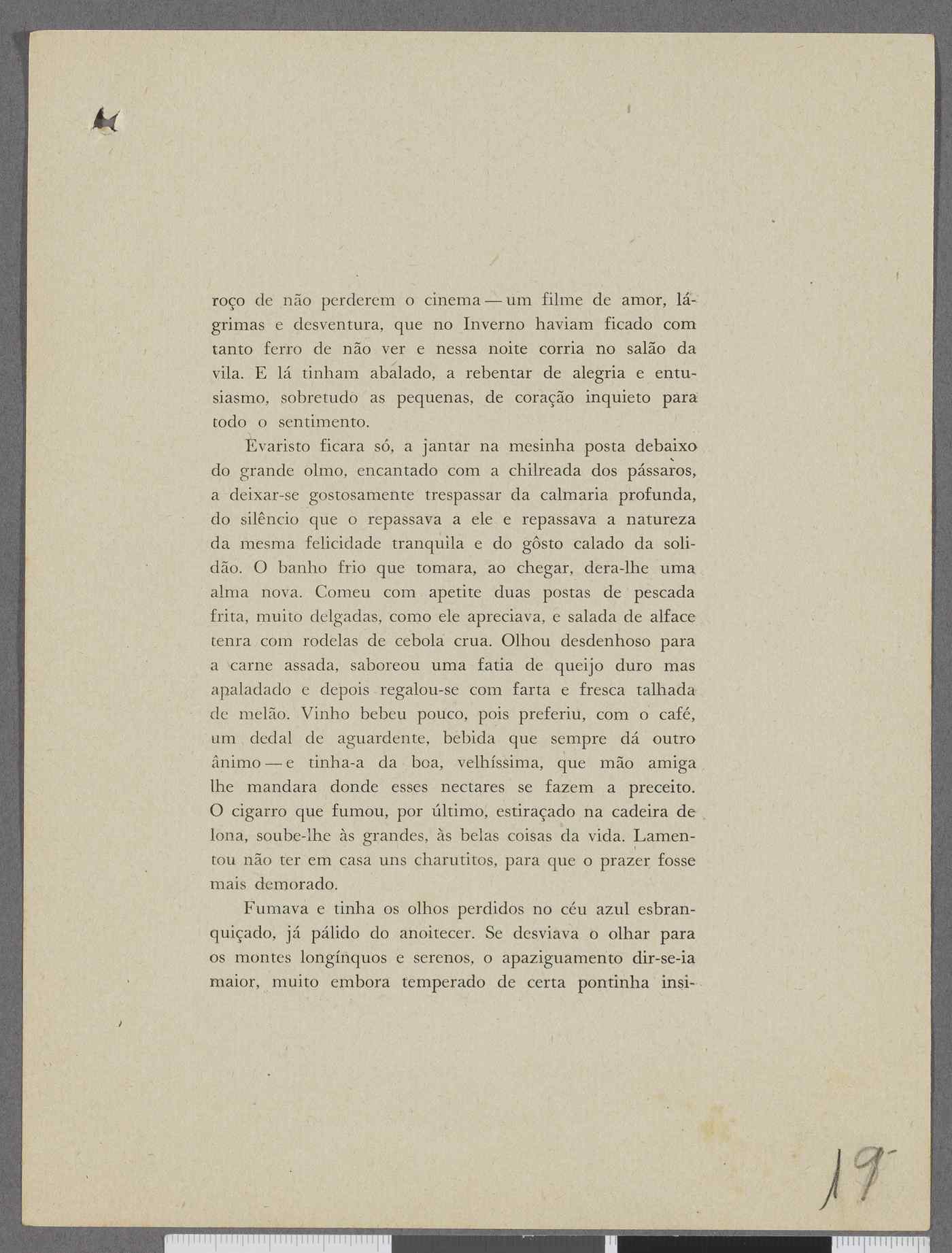 04959.113.002- pag.19