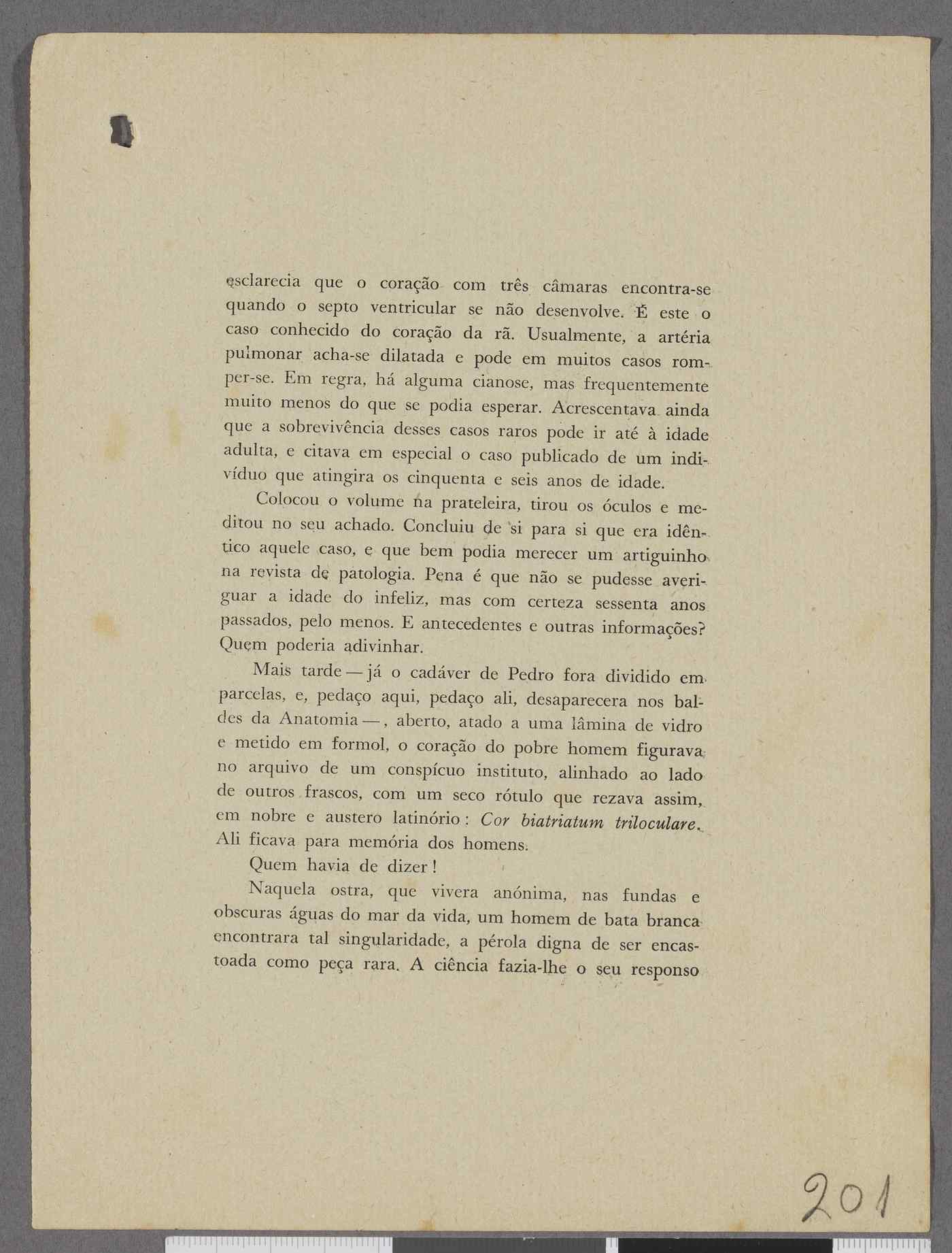 04959.113.002- pag.205