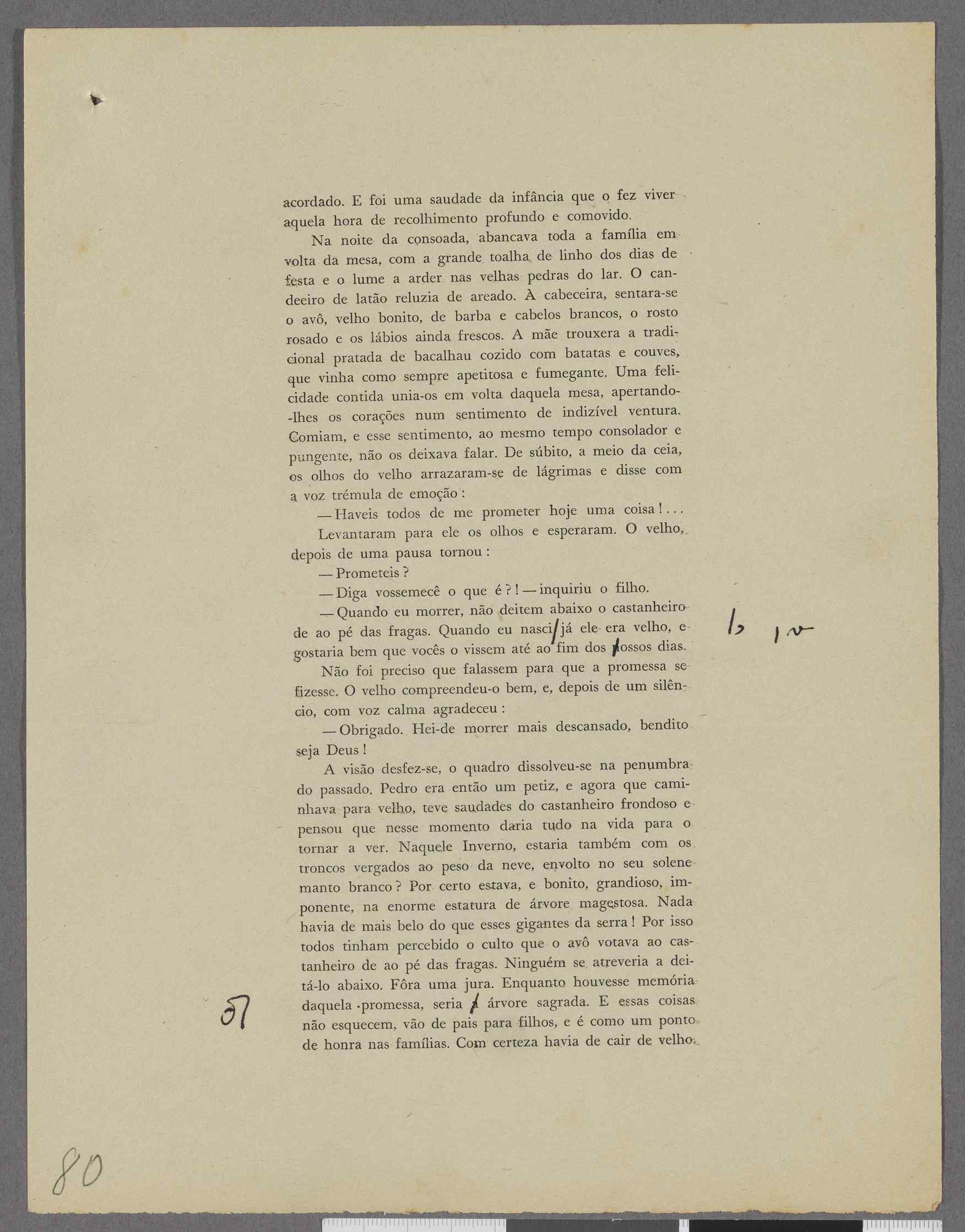 04959.113.003- pag.80