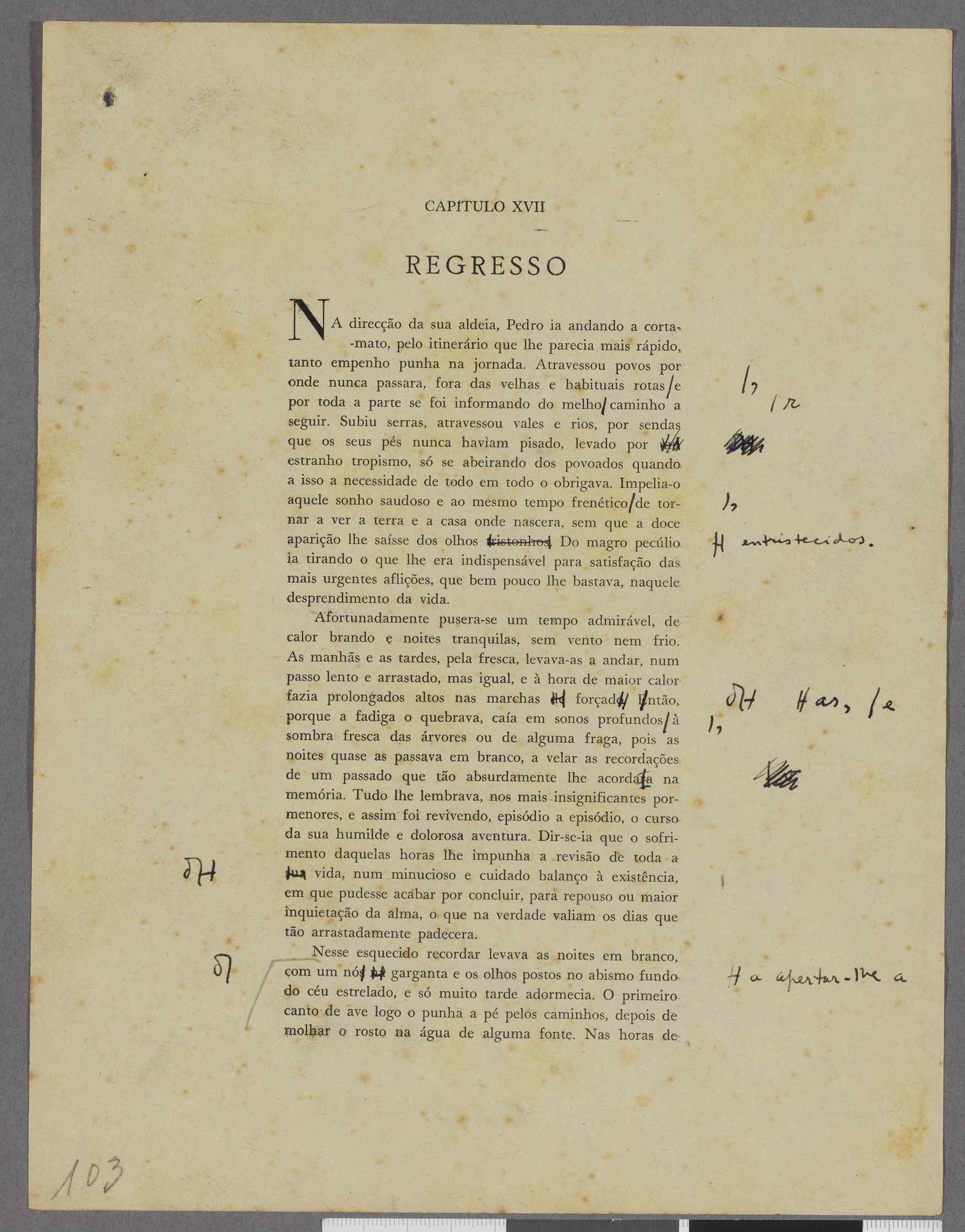 04959.113.003- pag.103