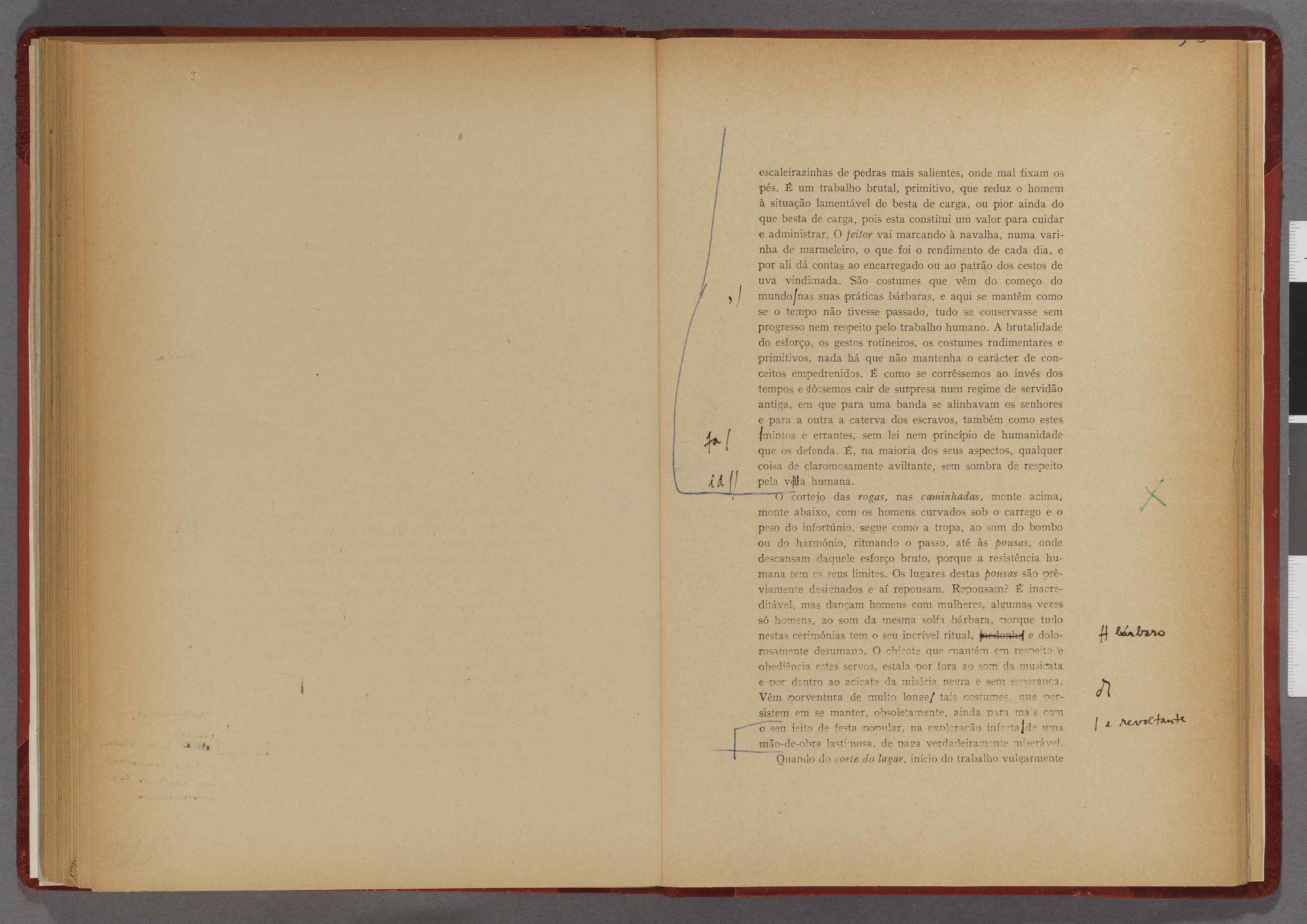 04959.119.002- pag.81