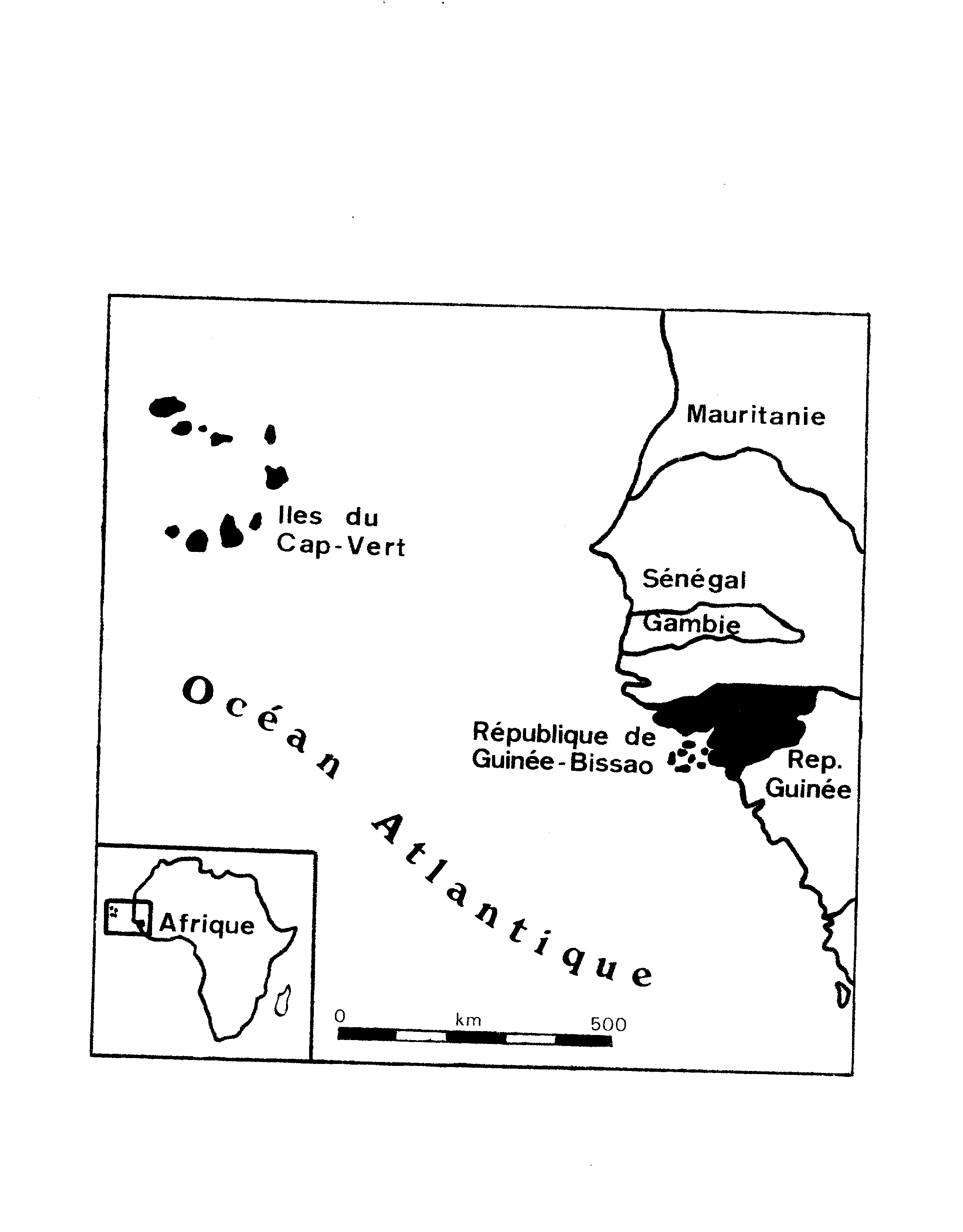 04999.038- pag.6