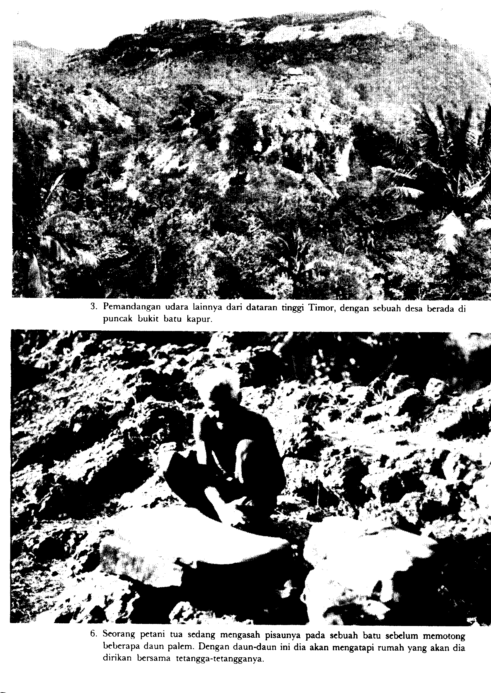 05005.009- pag.80