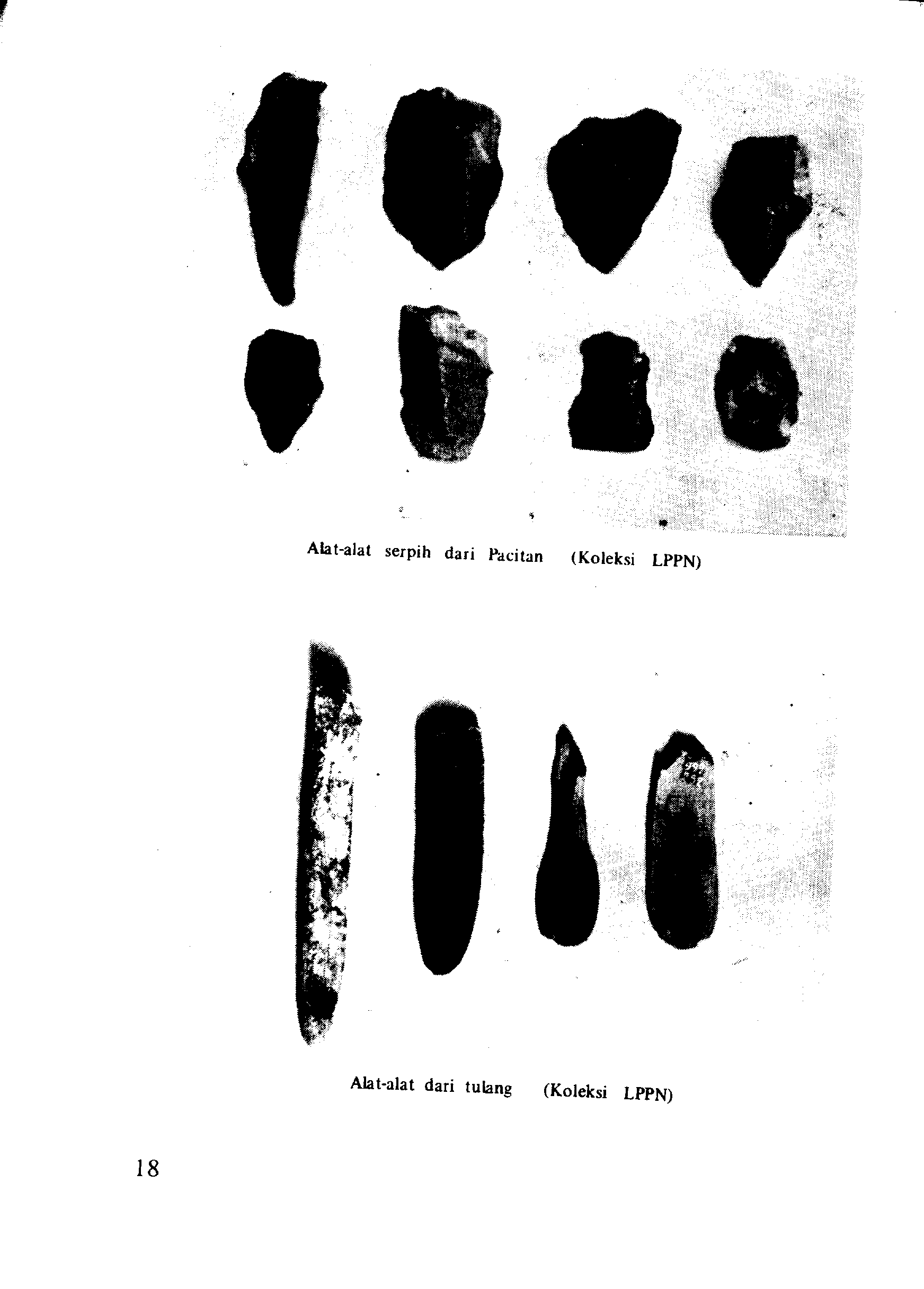 05005.010- pag.19