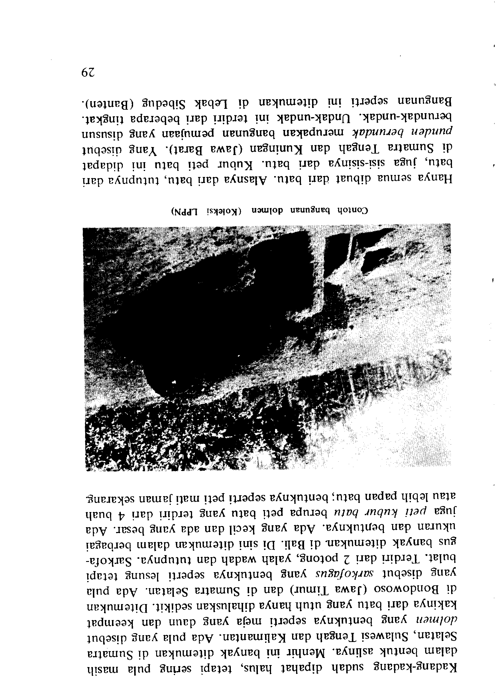 05005.010- pag.28