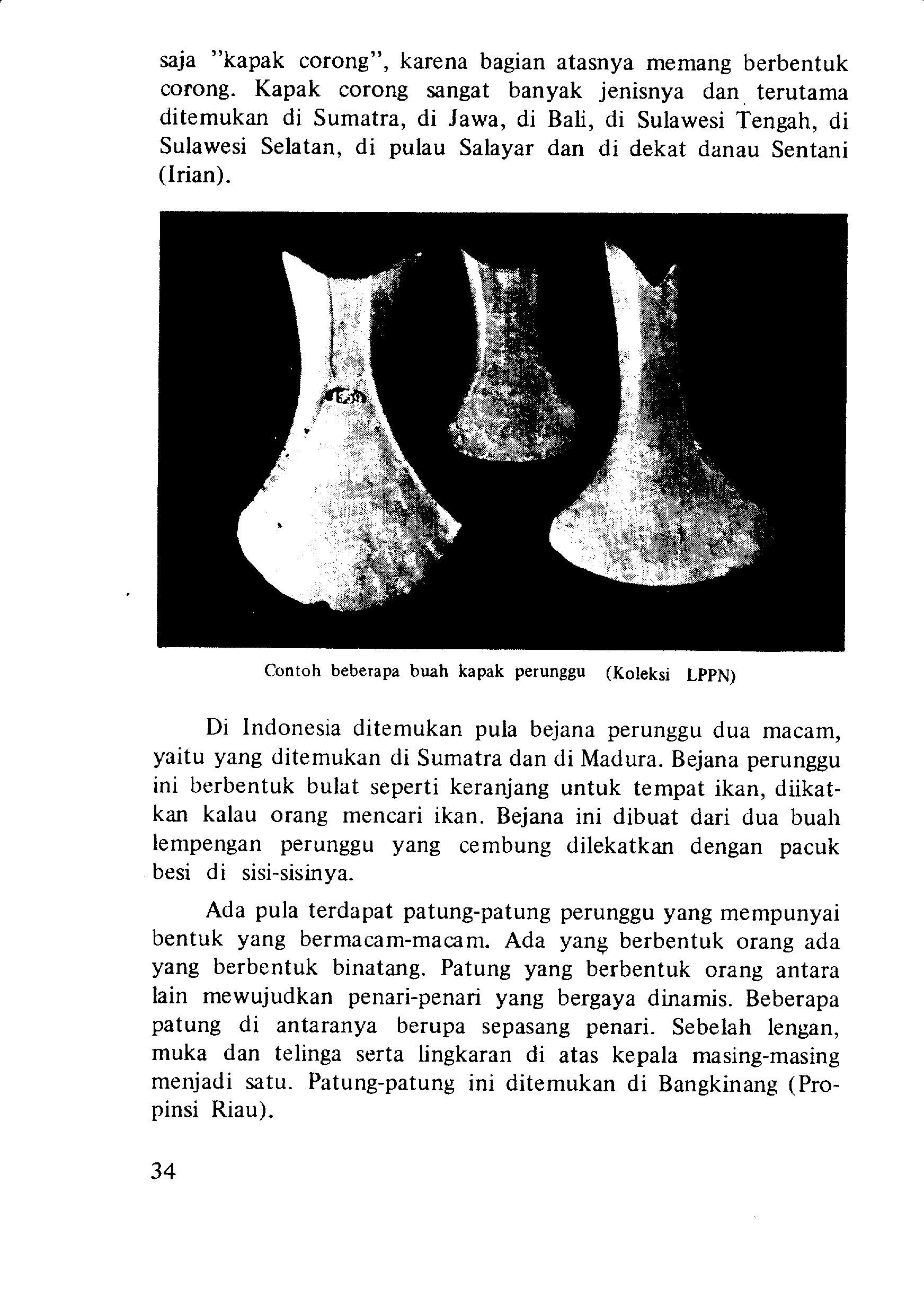 05005.010- pag.33