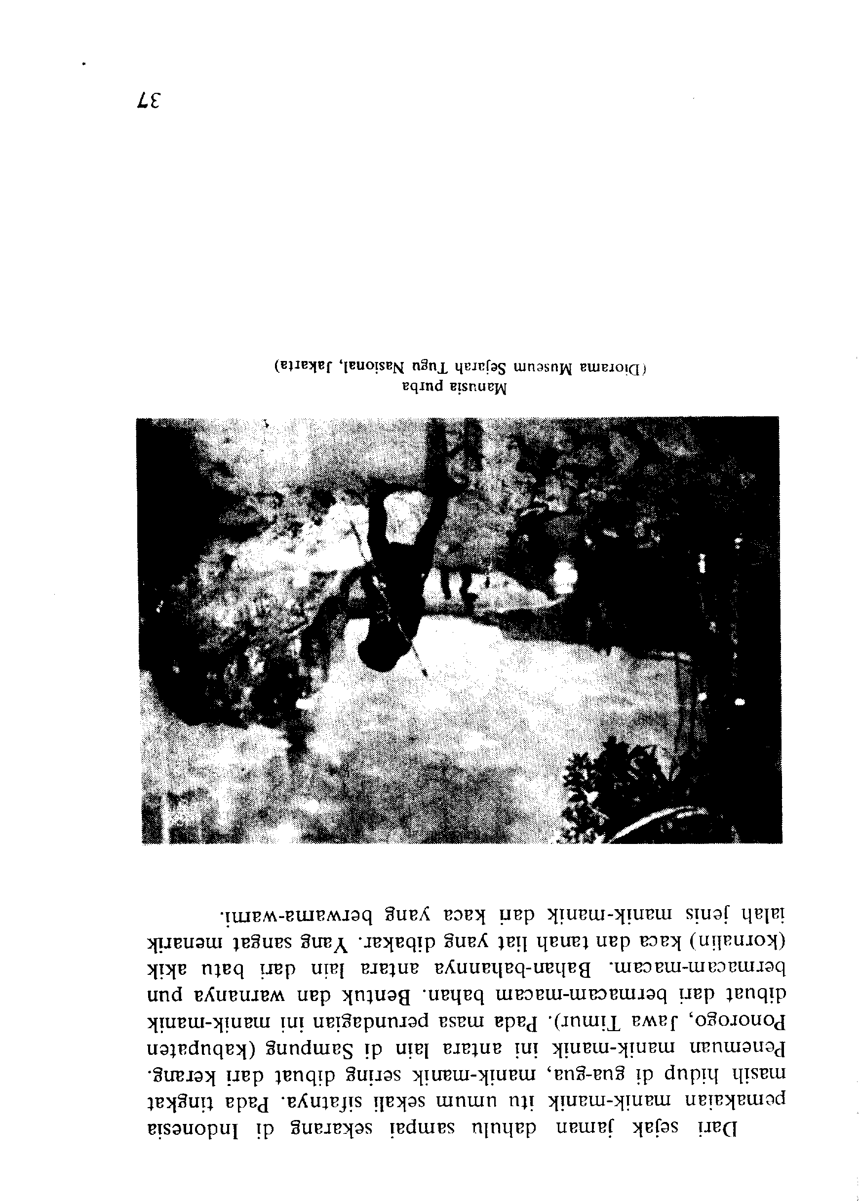 05005.010- pag.36