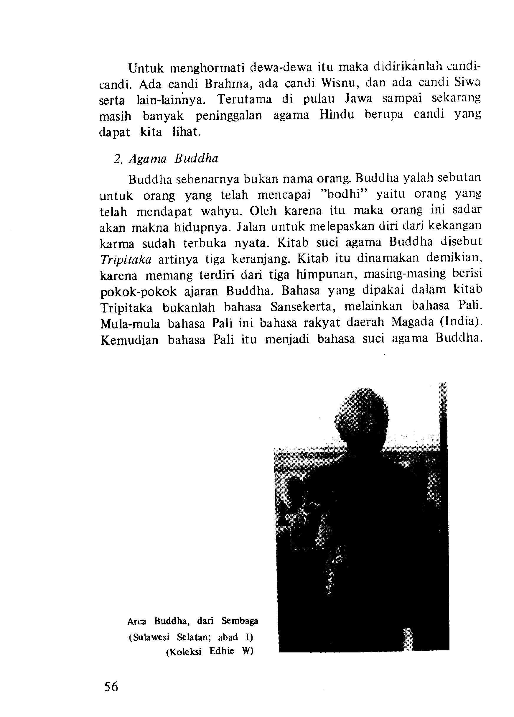 05005.010- pag.54