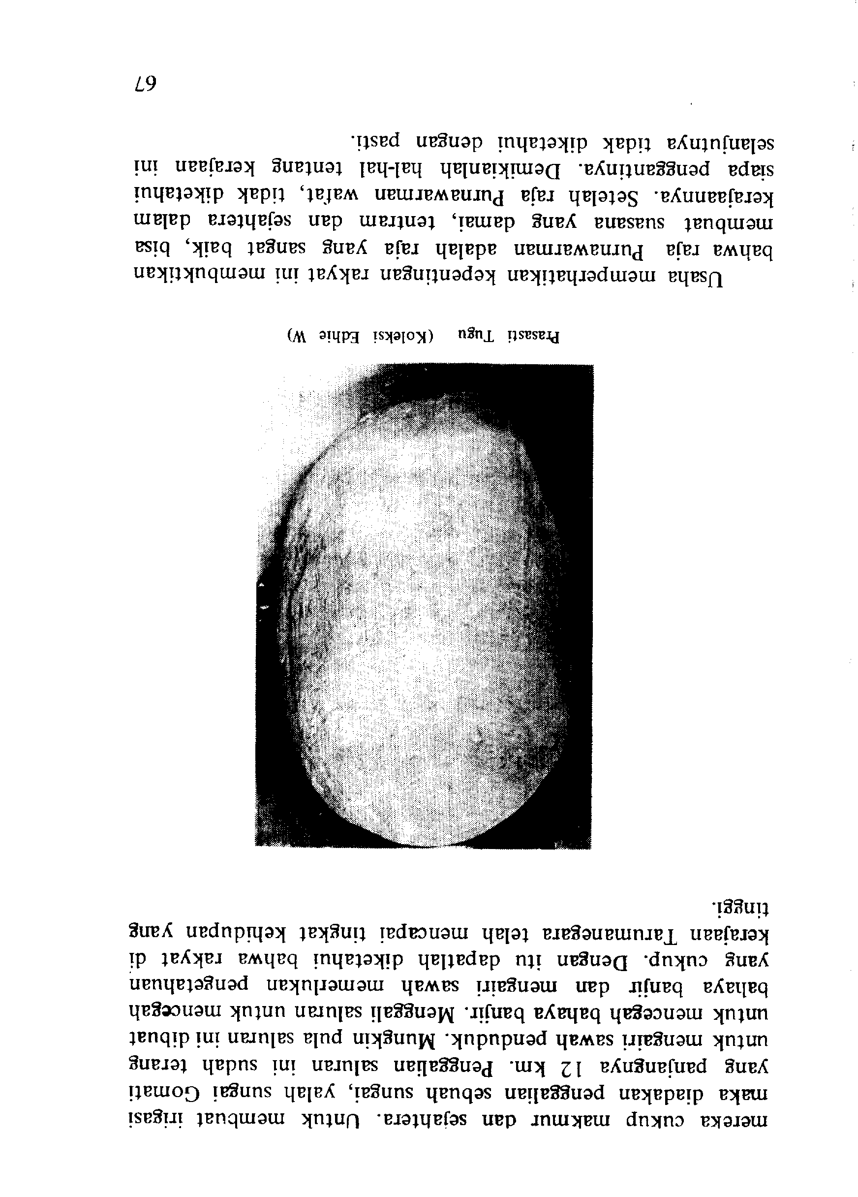 05005.010- pag.65