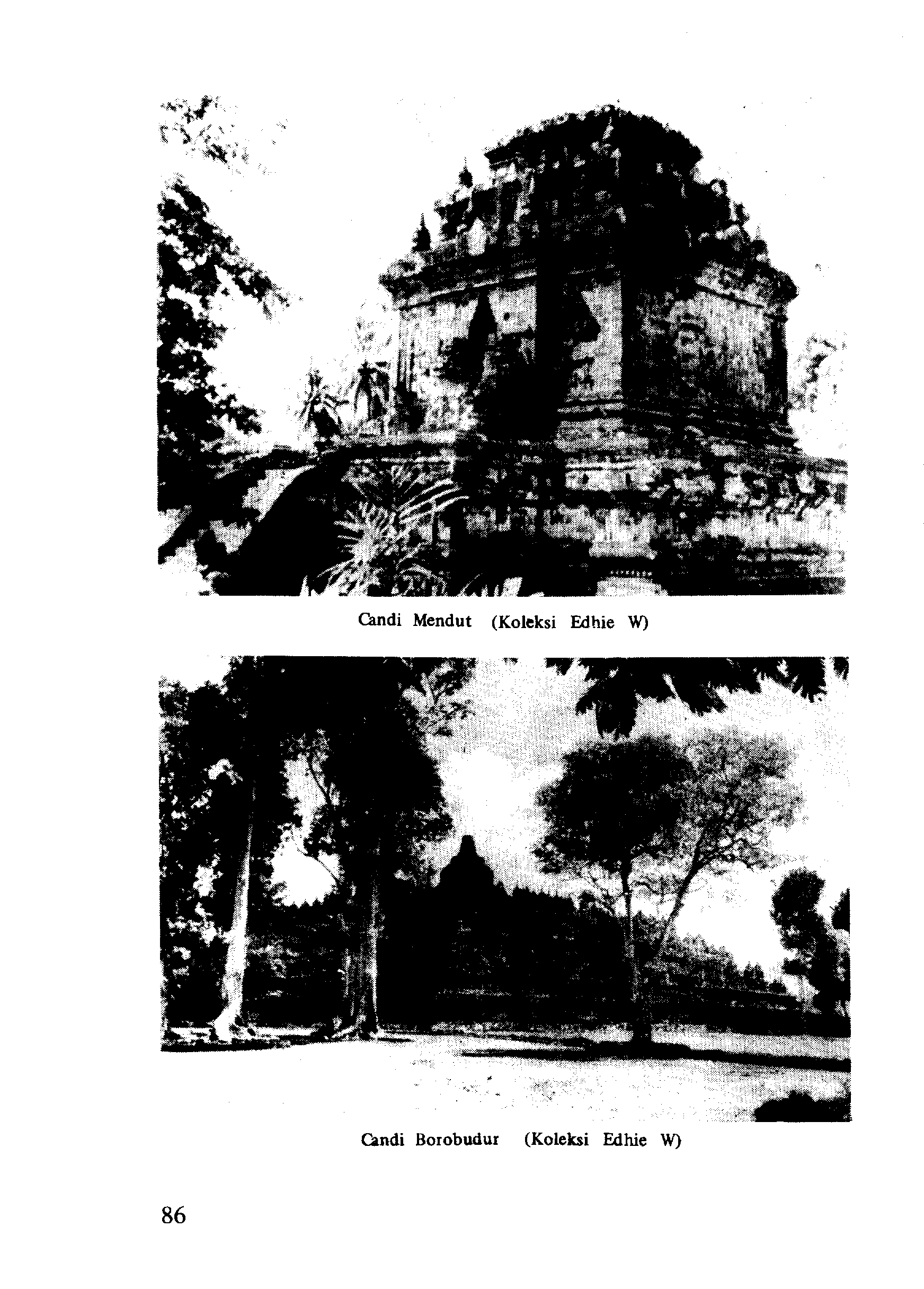 05005.010- pag.84