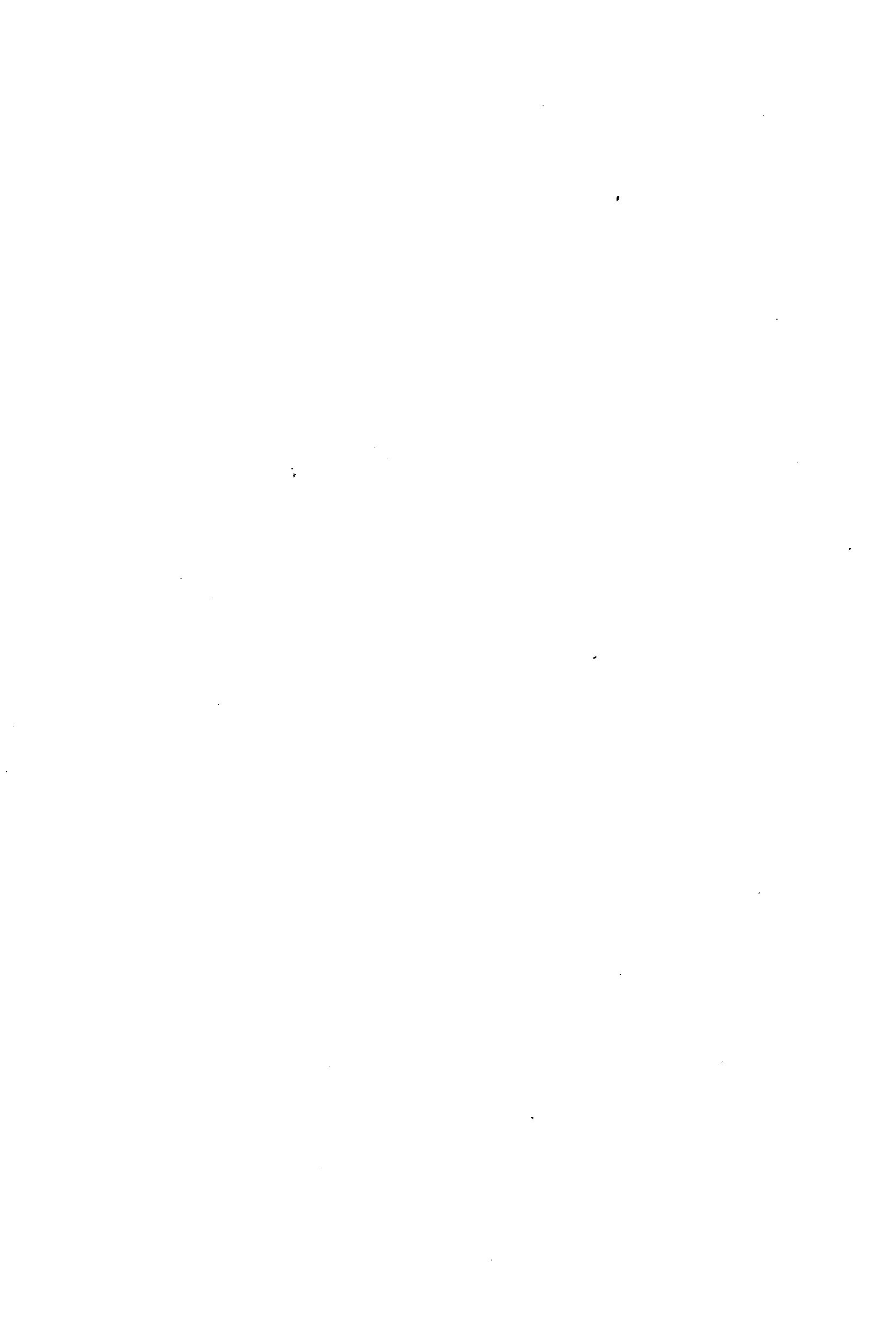 05005.017- pag.11