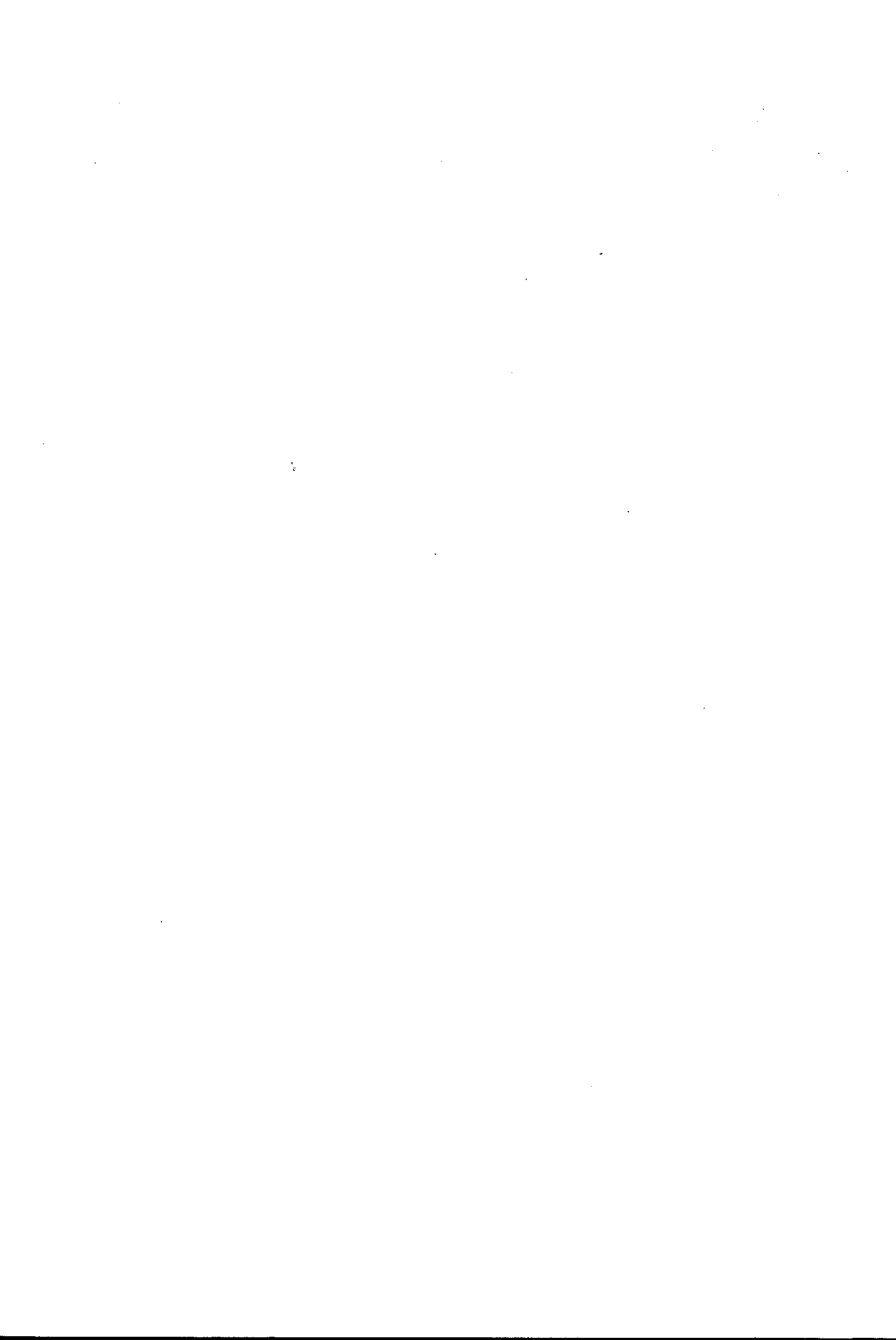 05005.017- pag.19