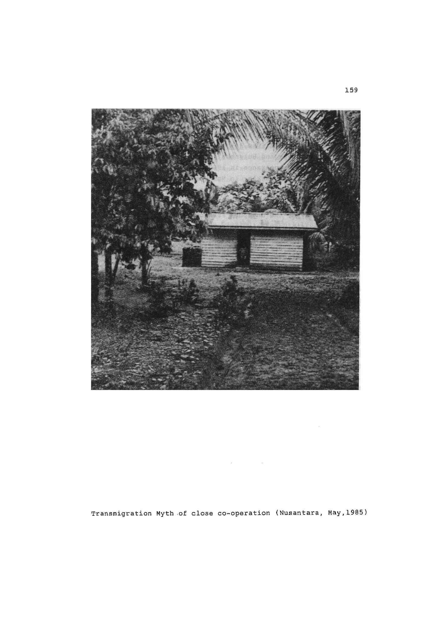 05008.003.002- pag.164