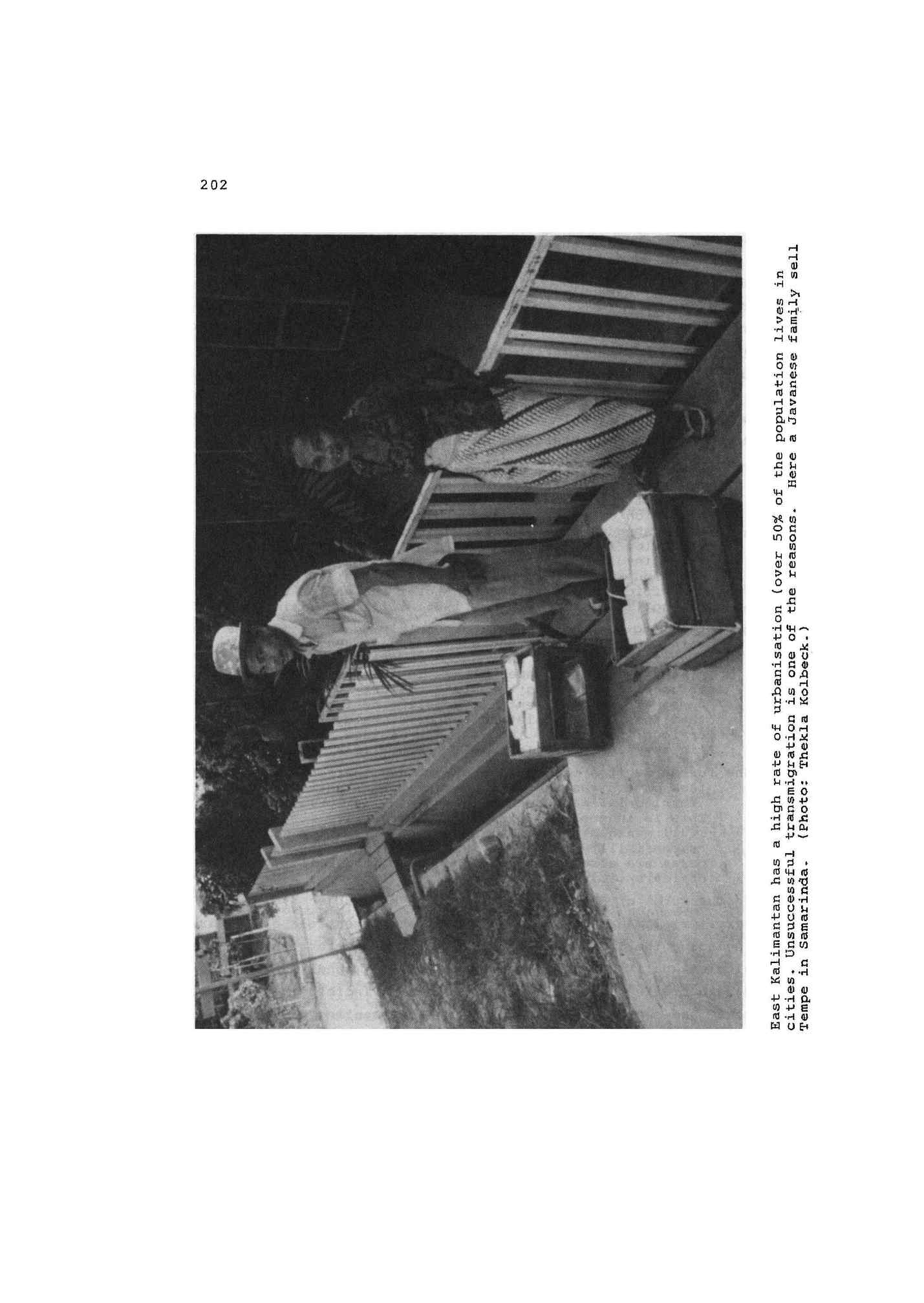 05008.003.002- pag.207