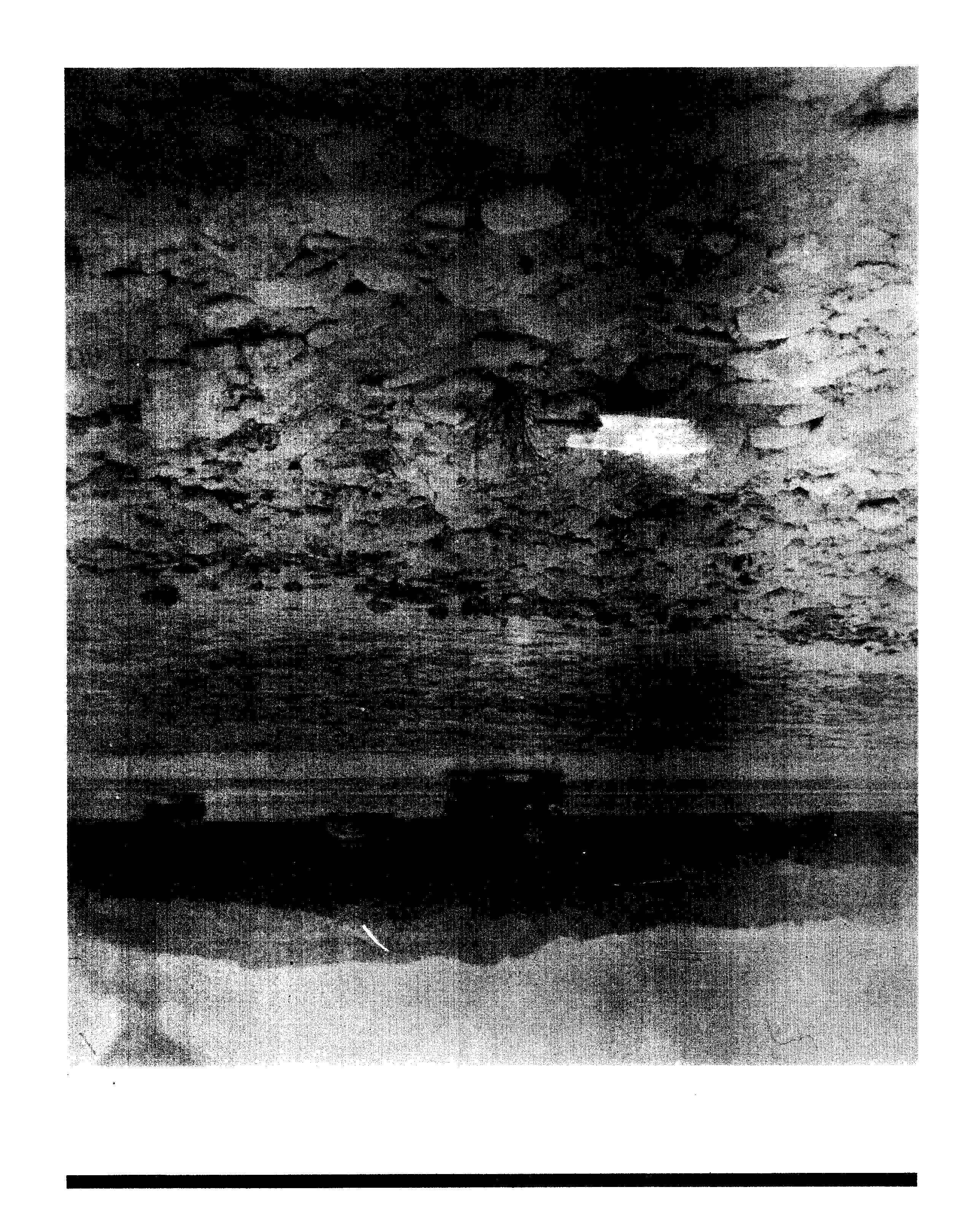 05008.024- pag.22