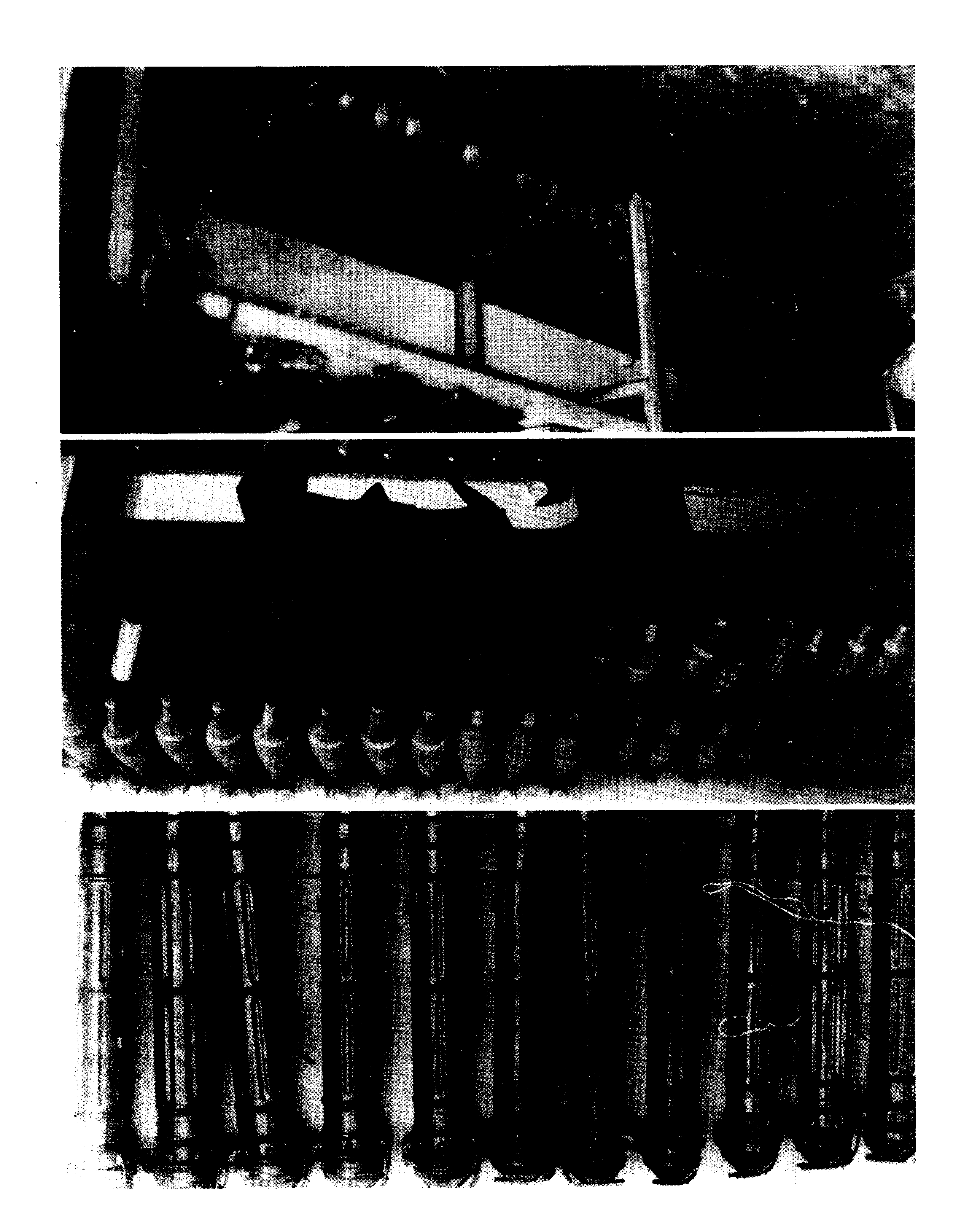05008.024- pag.26