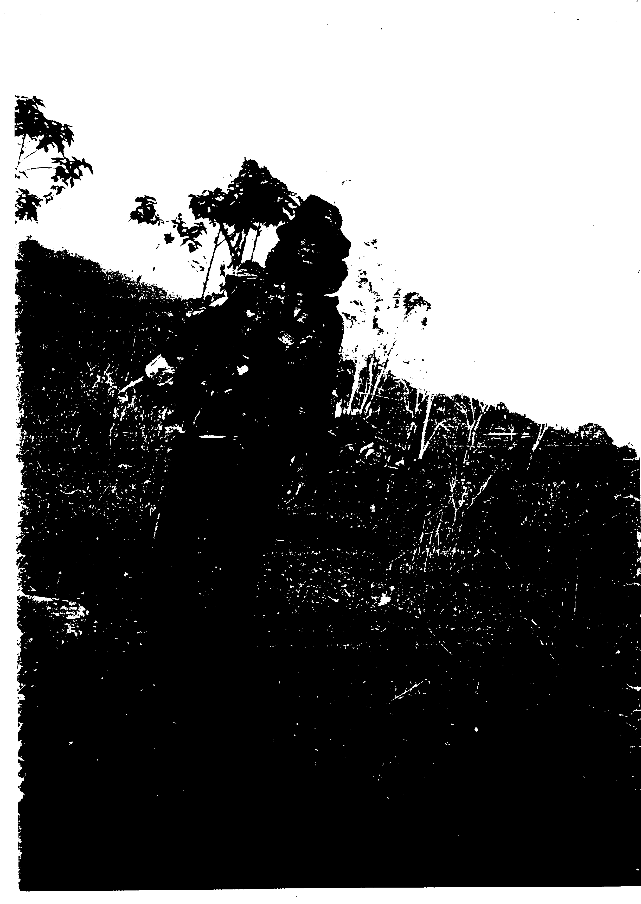 05008.029- pag.42