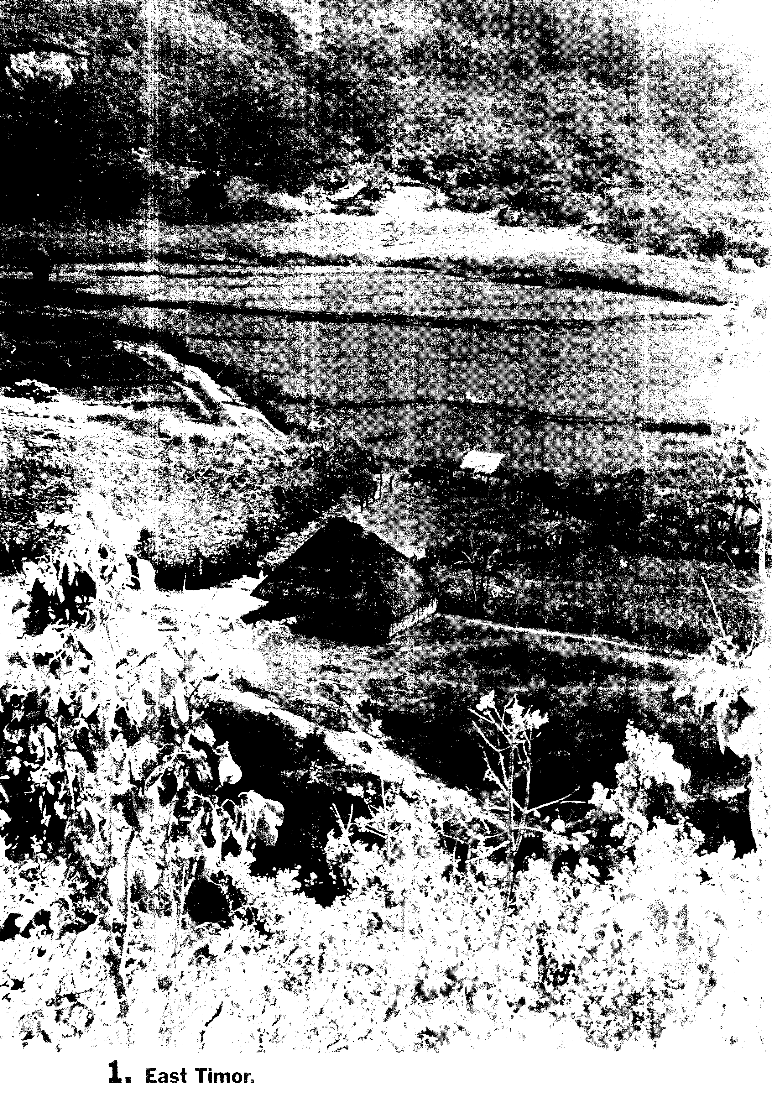 05008.040- pag.12