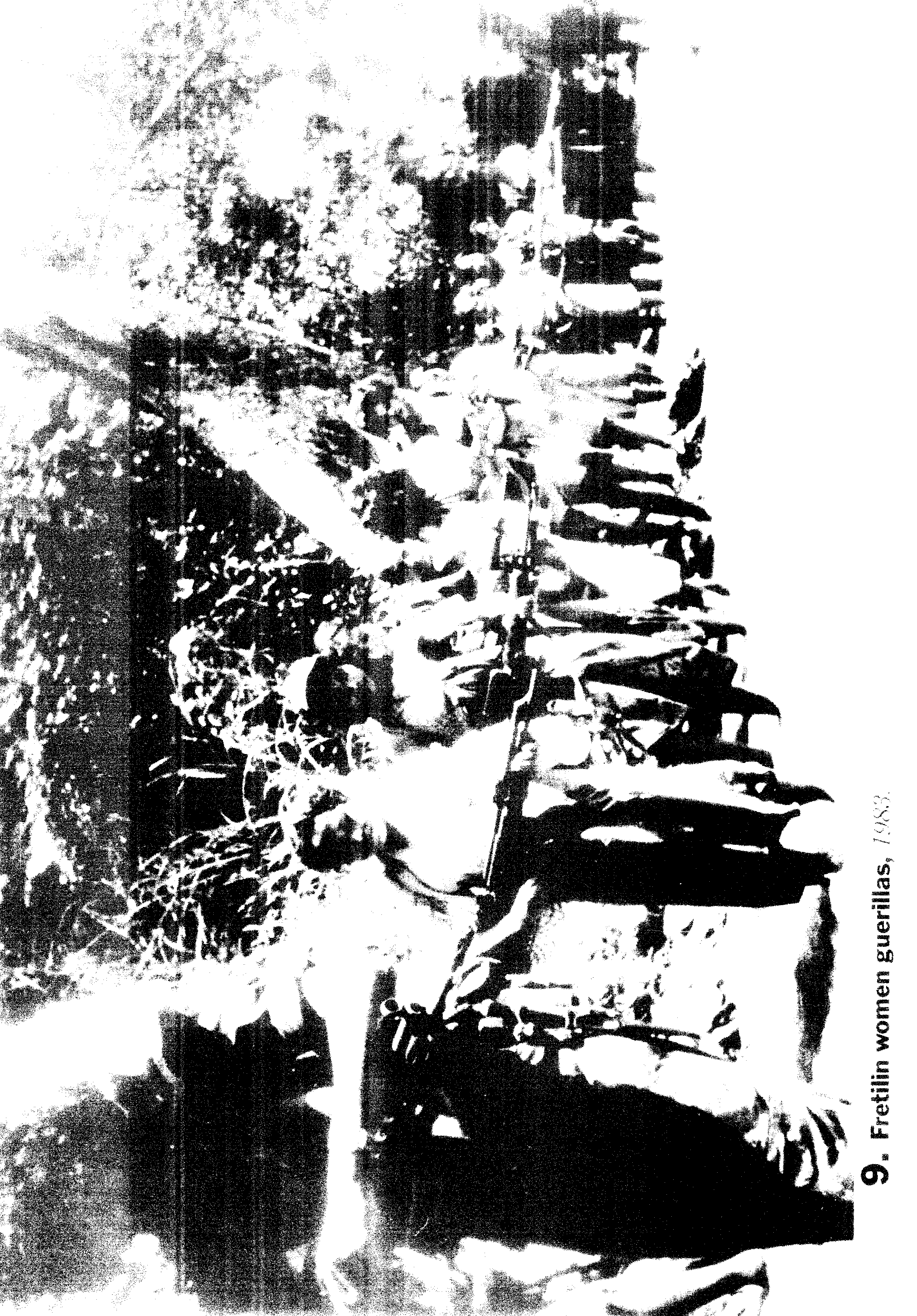 05008.040- pag.25
