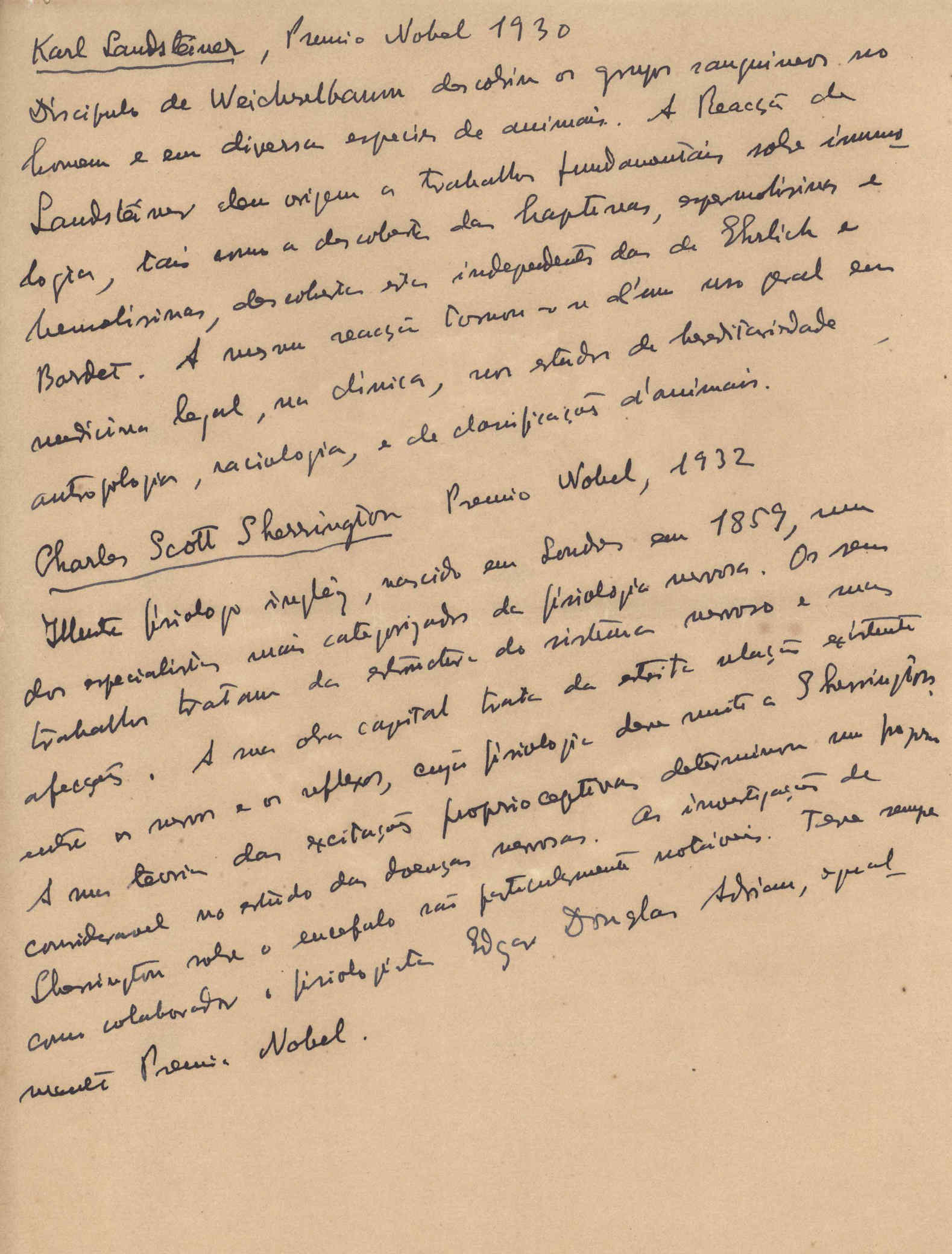 05381.049- pag.12