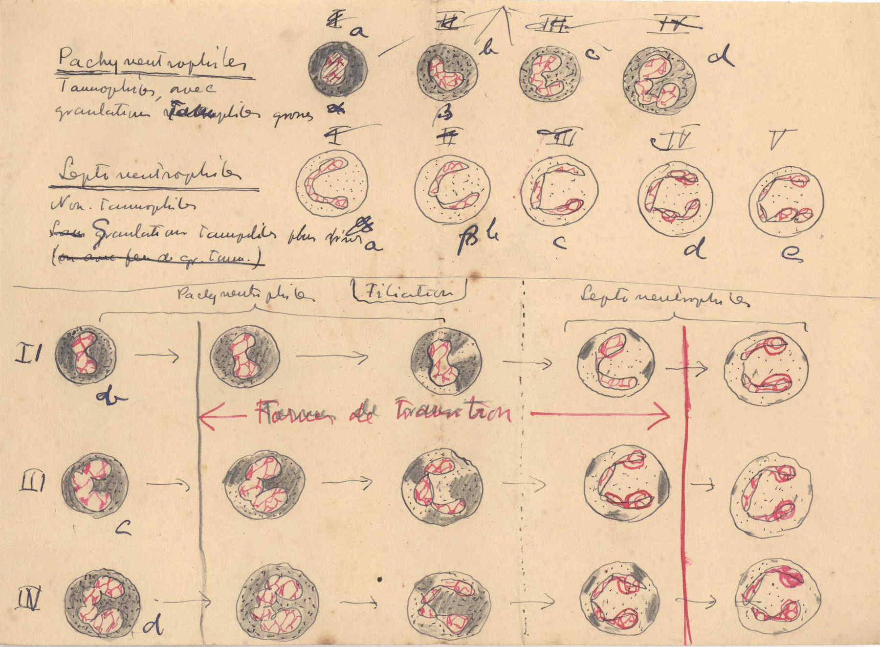 05392.032- pag.12