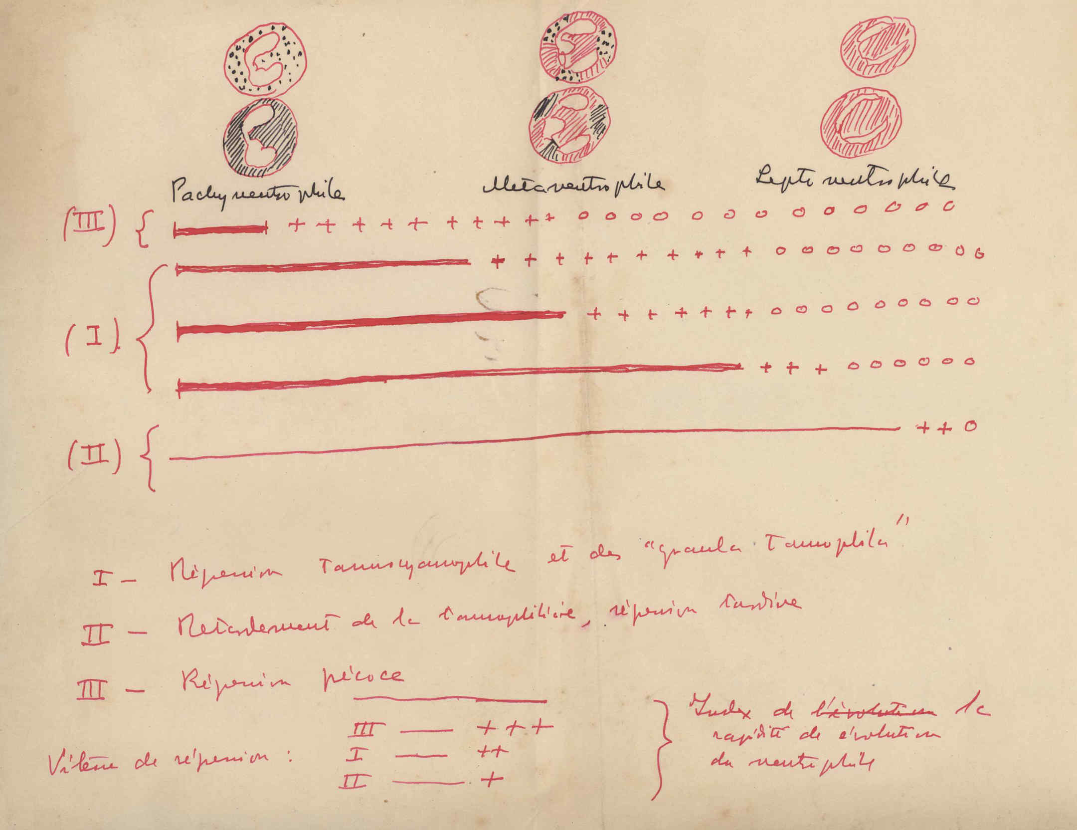 05392.032- pag.14