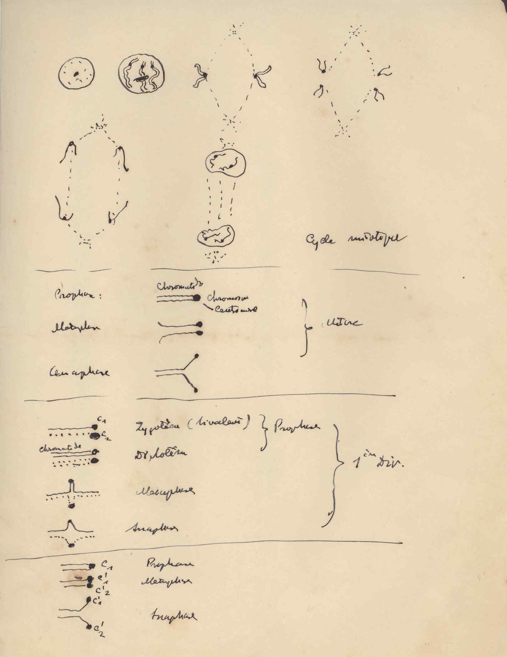 05392.032- pag.22